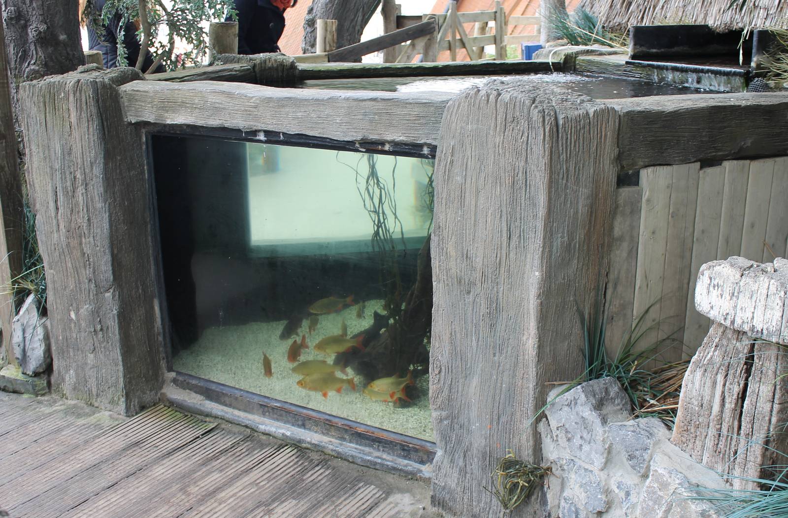 Another dutch outdoor aquarium