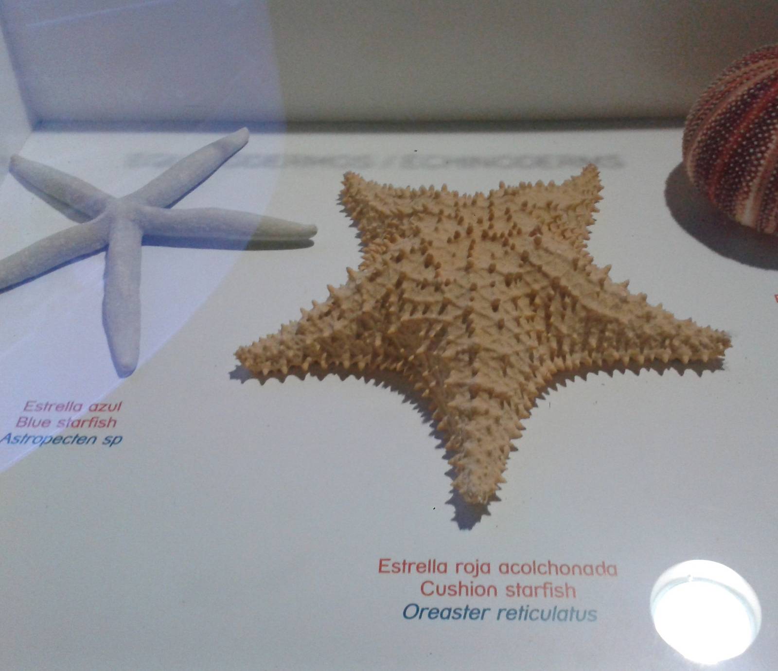 Another educational display