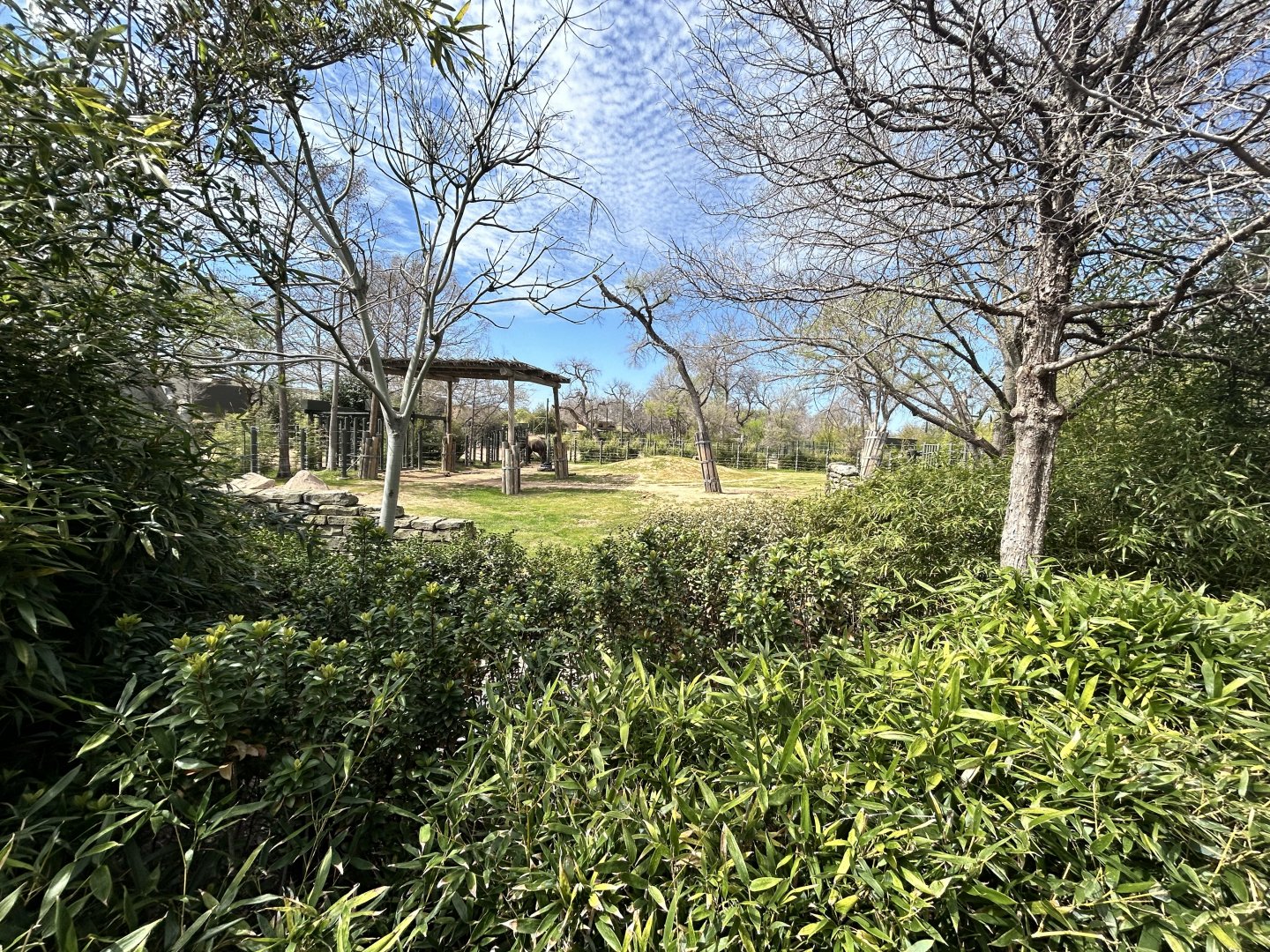 Another Elephant Springs Yard