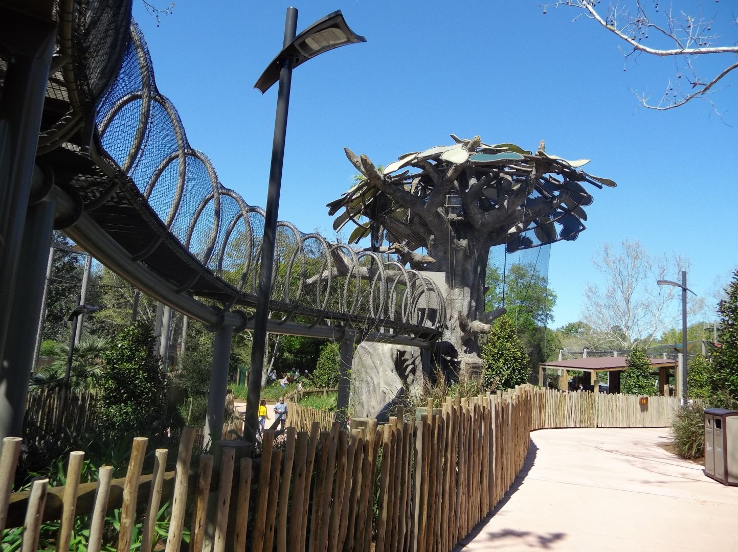 Another elevated primate trail