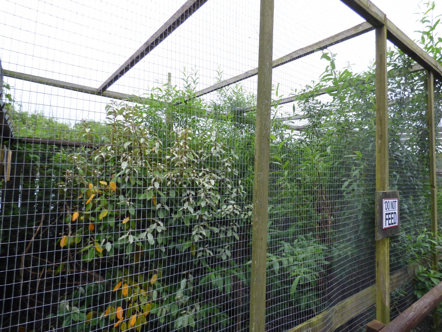 Another Empty Aviary (Former Von der Derken's Hornbill Aviary