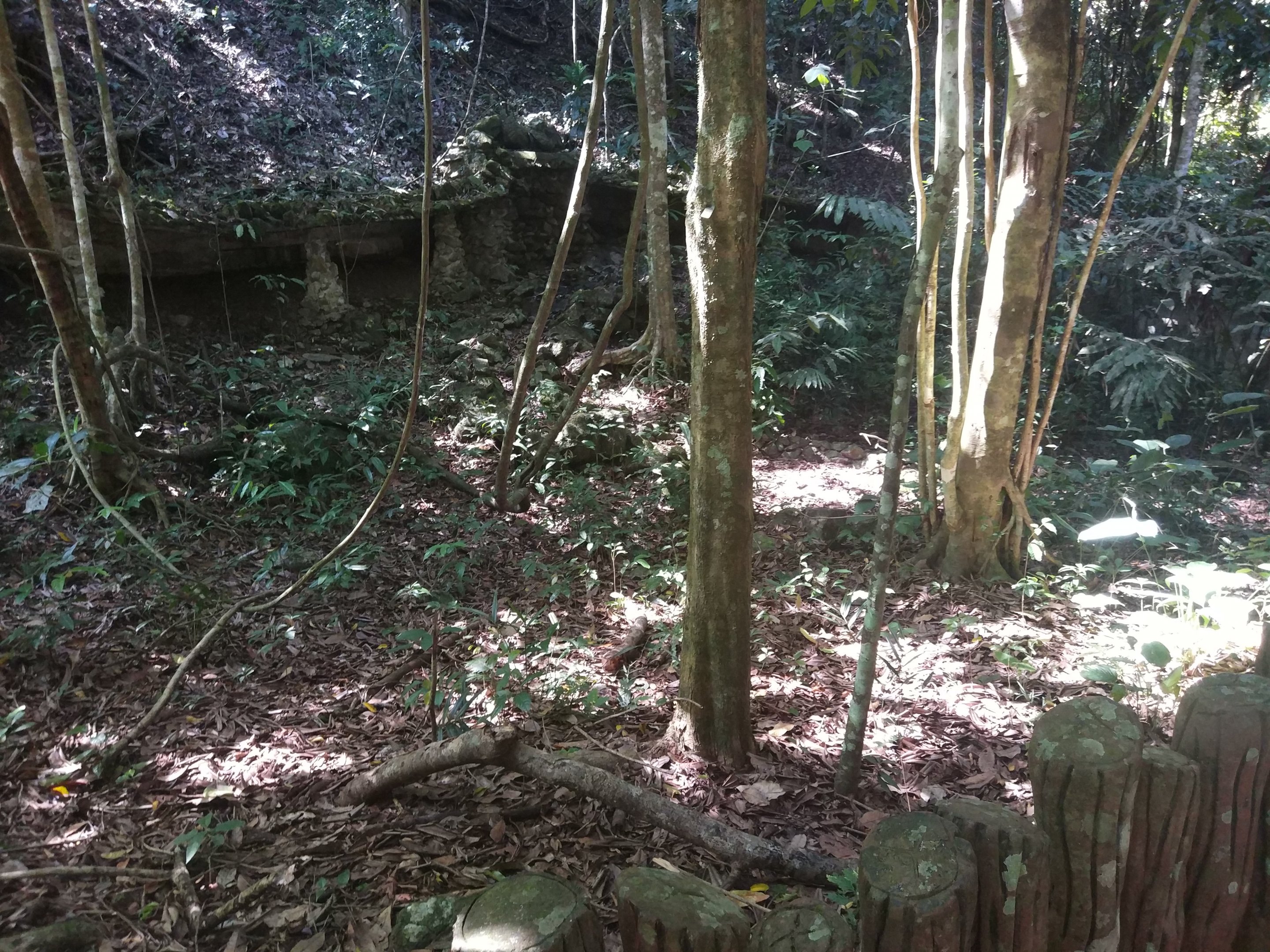 Another empty exhibit  - Tropical Garden