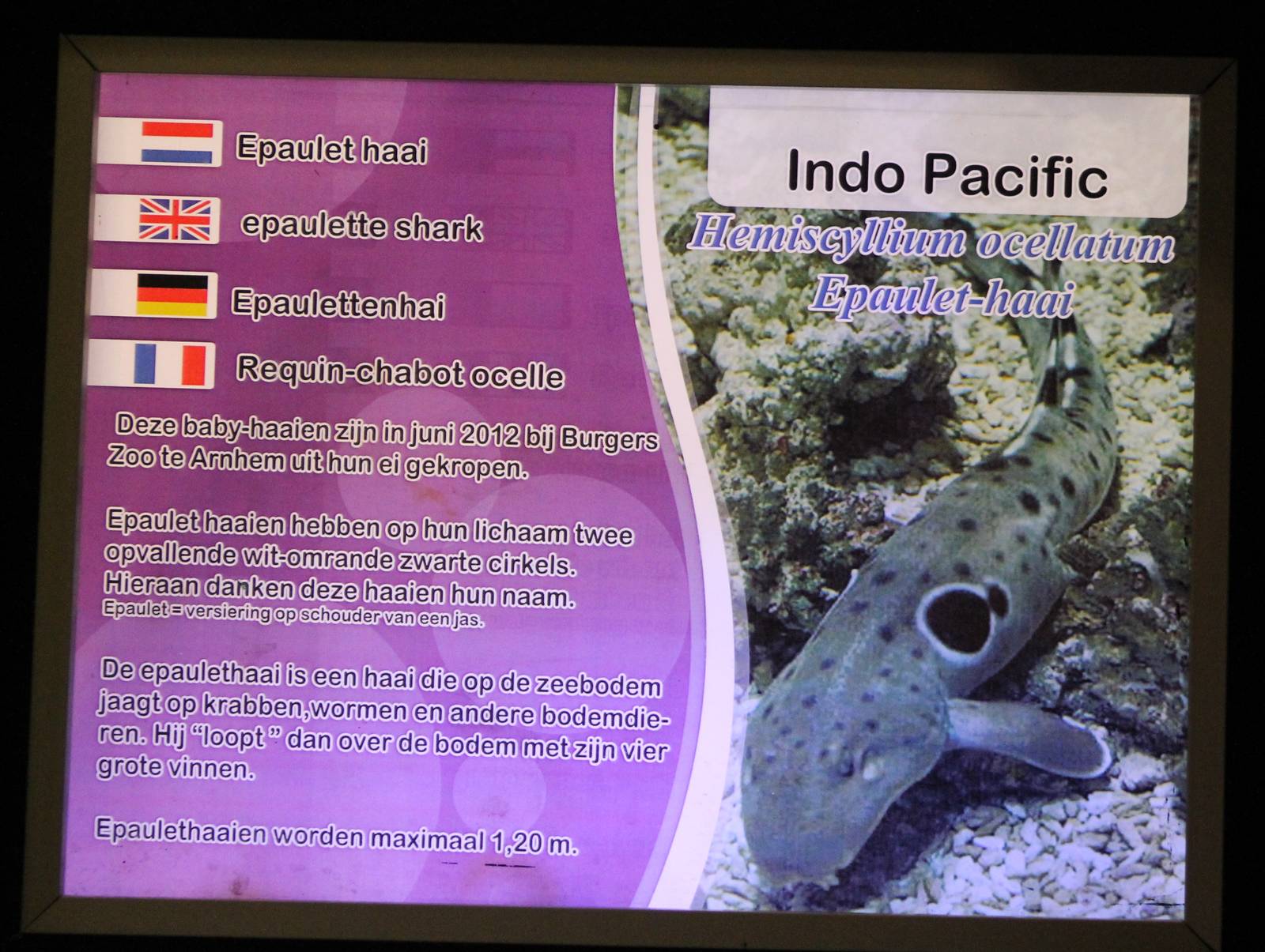 another example of sign at Het Arsenaal