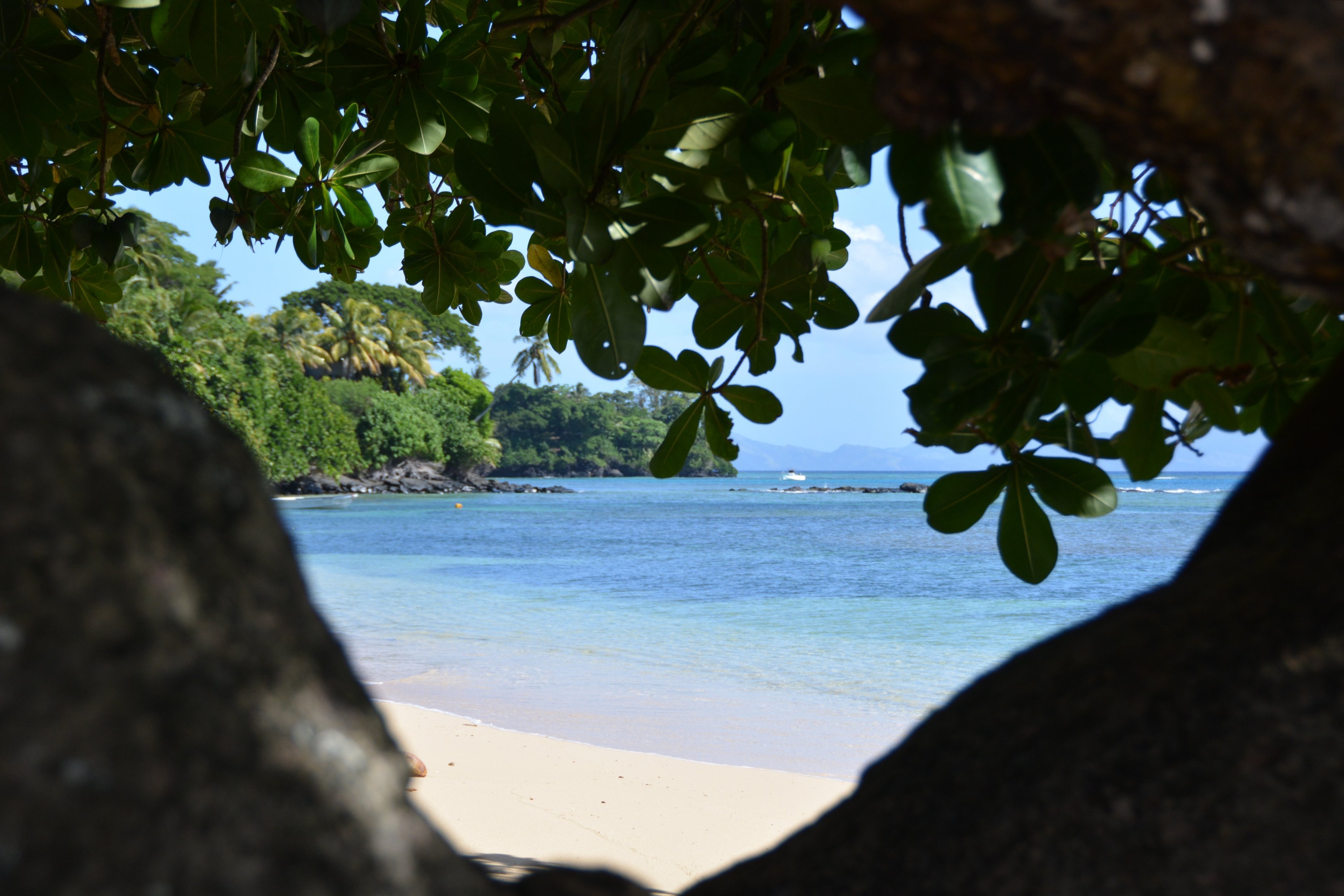 Another Fijian scene