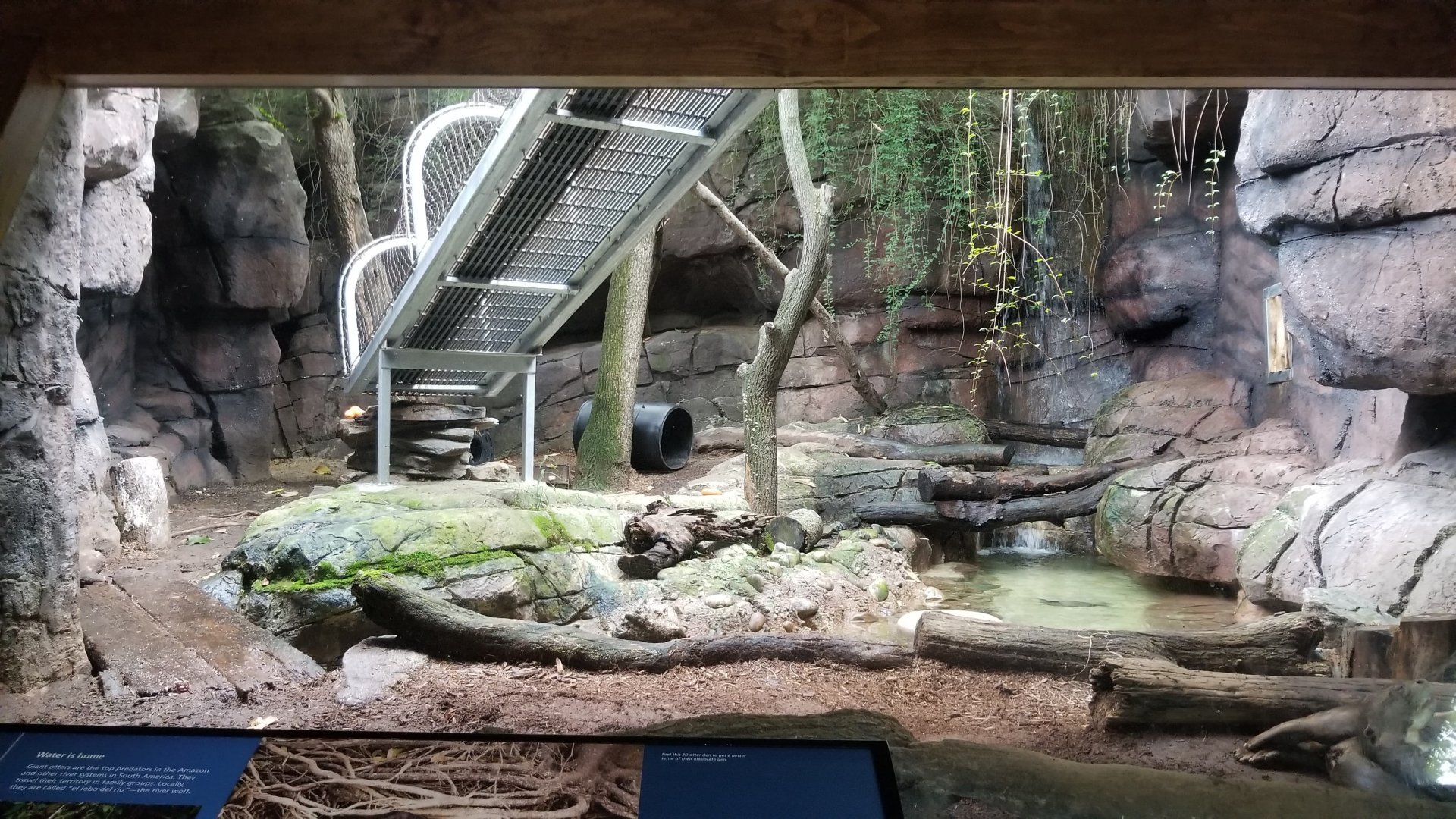 Another Giant Otter enclosure
