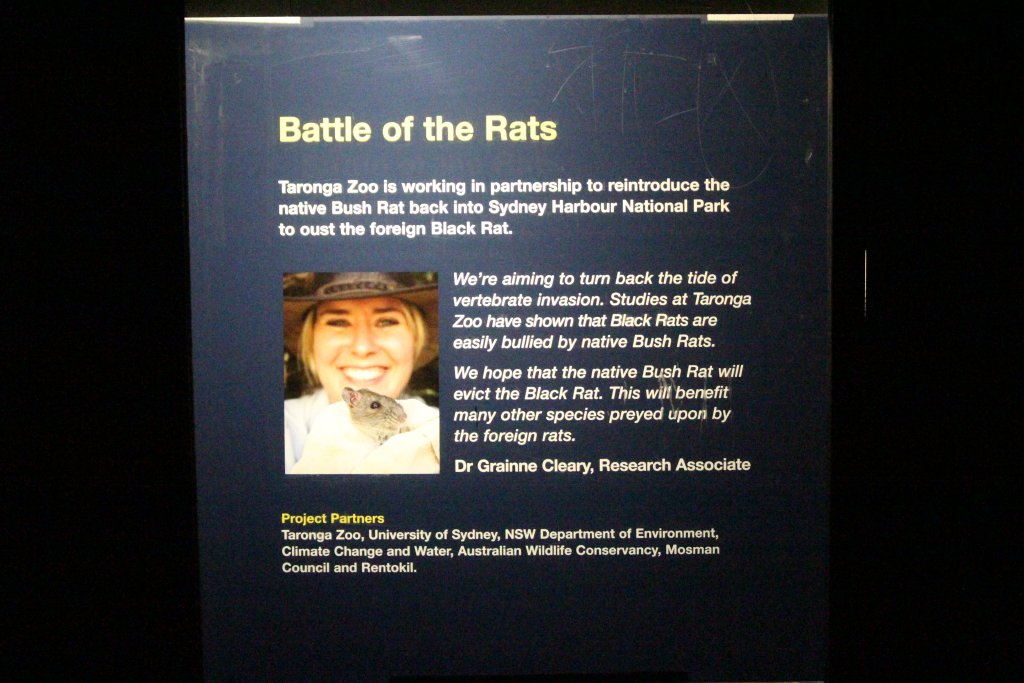 Another graphic on the Bush Rat enclosure