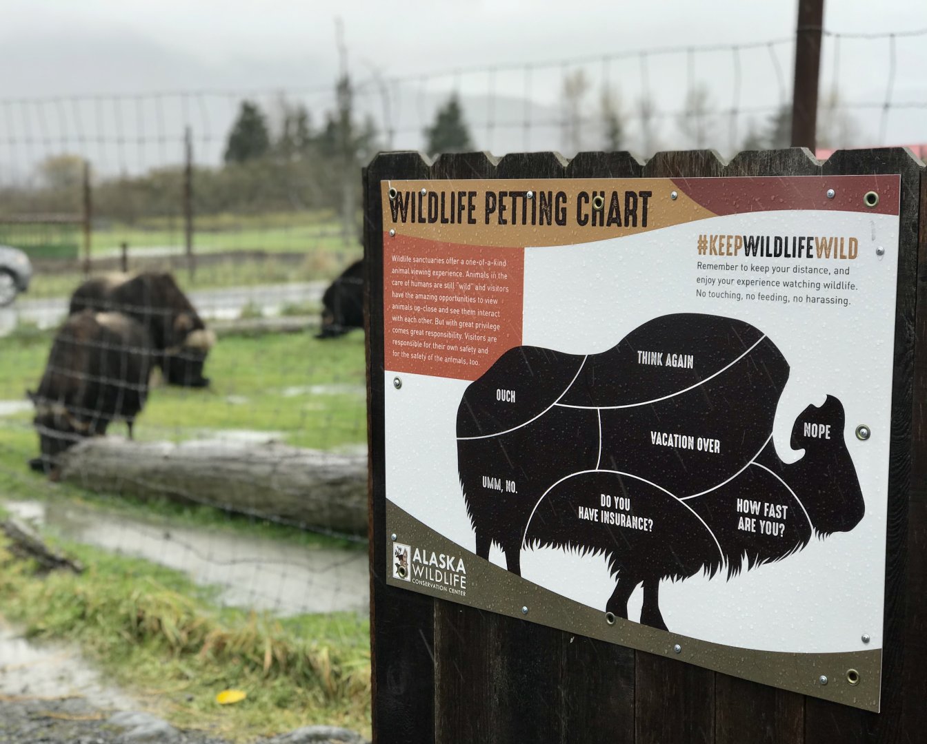 Another interesting sign