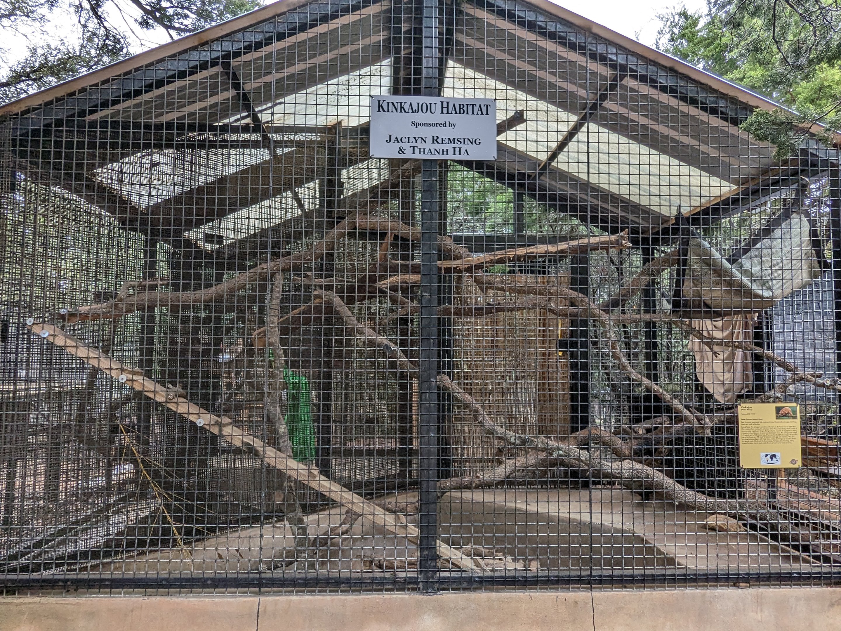 Another Kinkajou cage