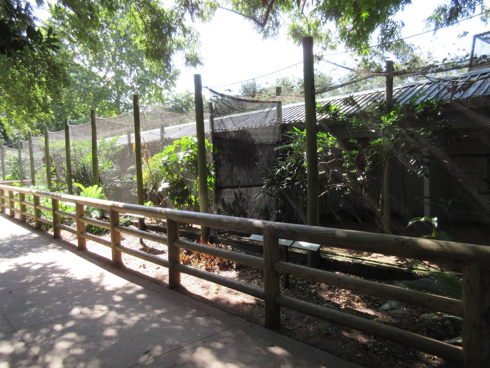 Another long row of aviaries