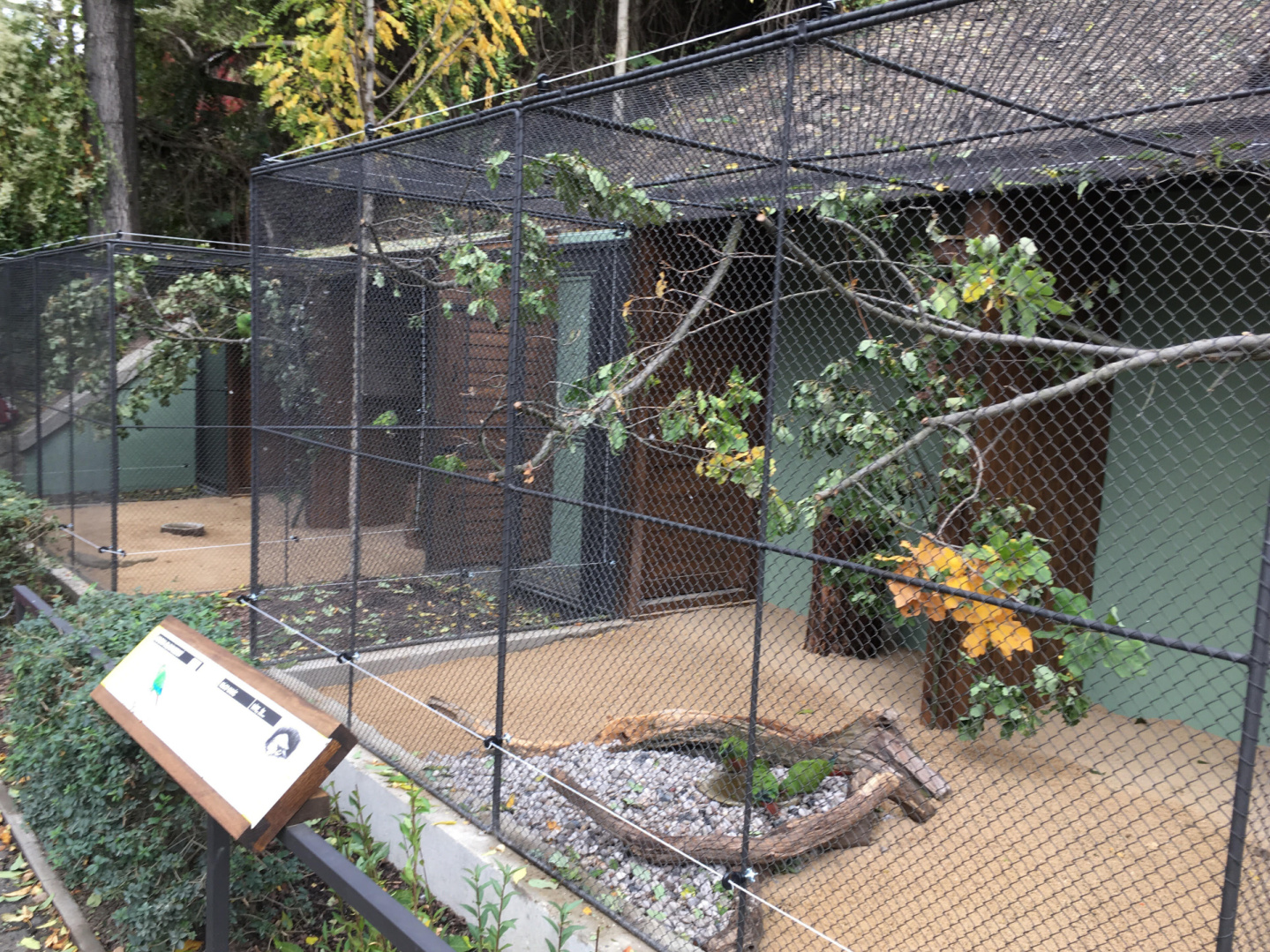 Another look at historical parrot aviaries