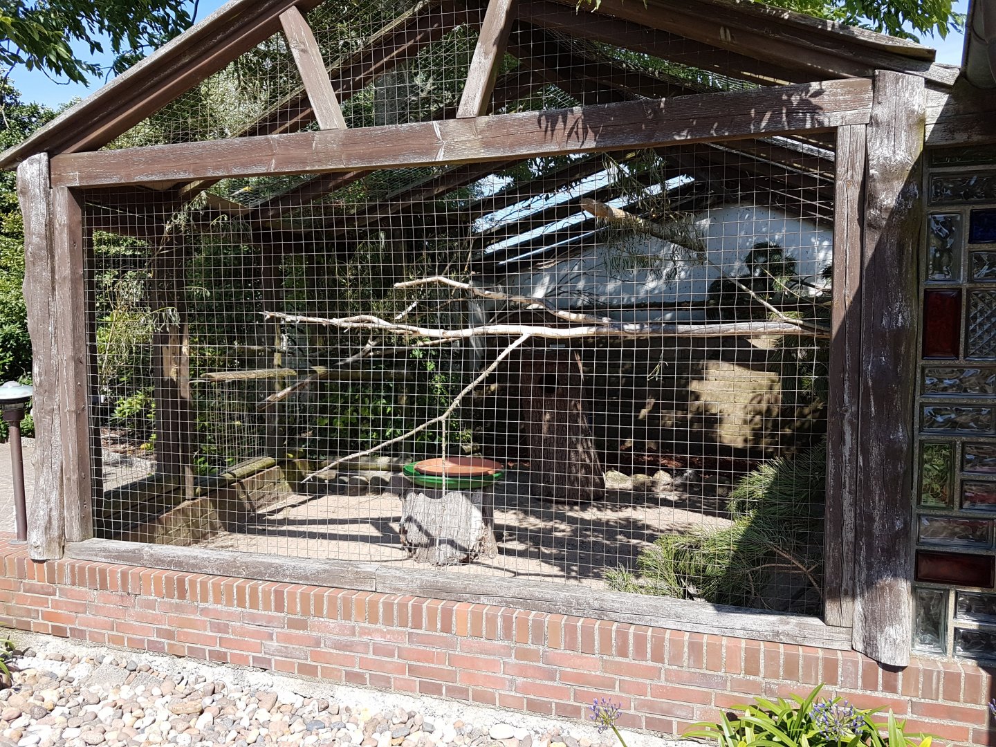 Another macaw-aviary