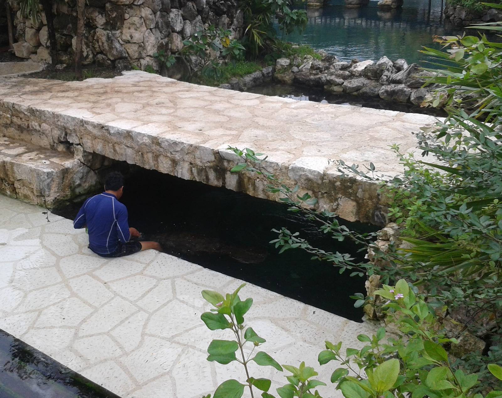 Another manatee enclosure