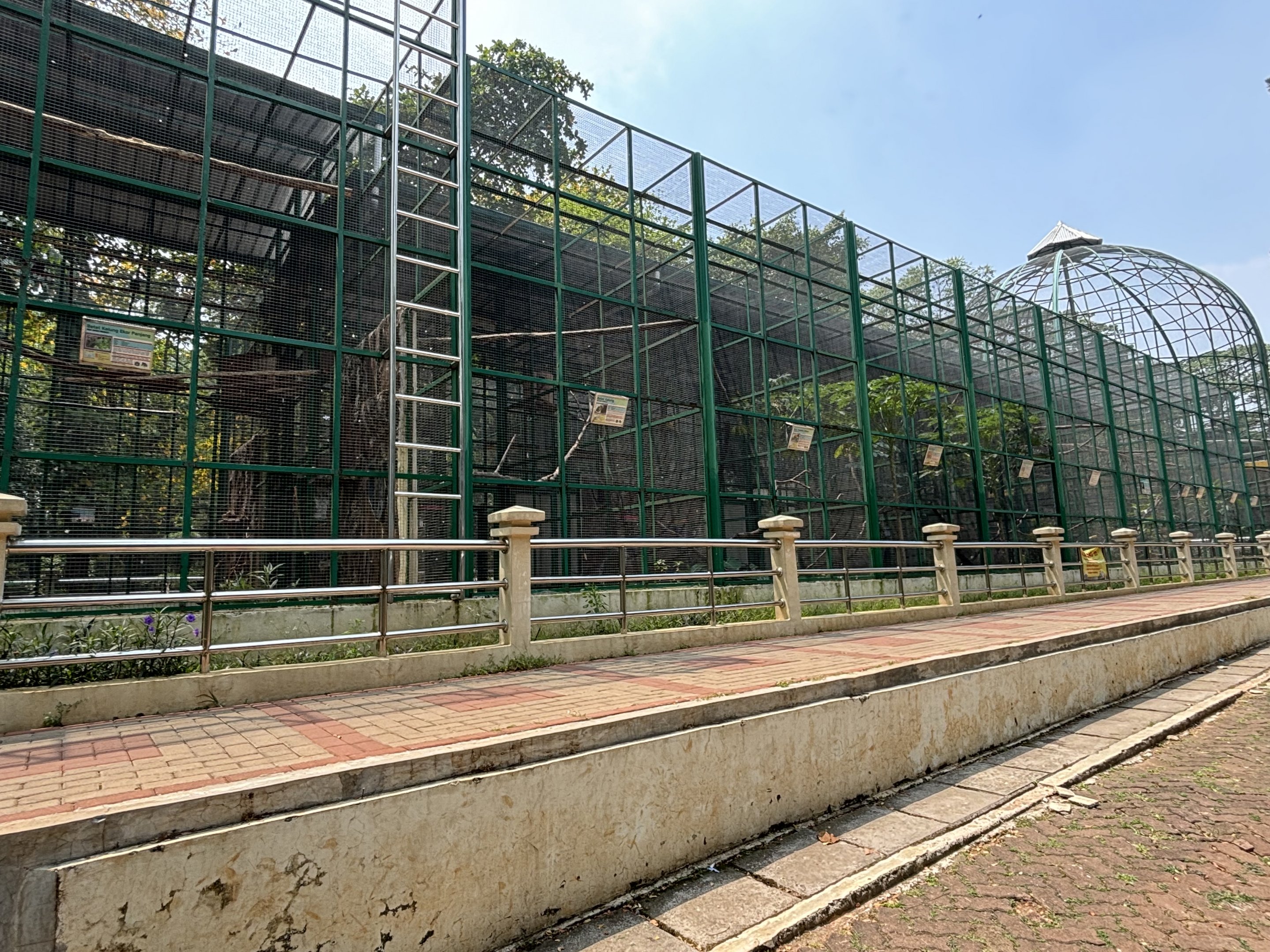 Another massive row of aviaries