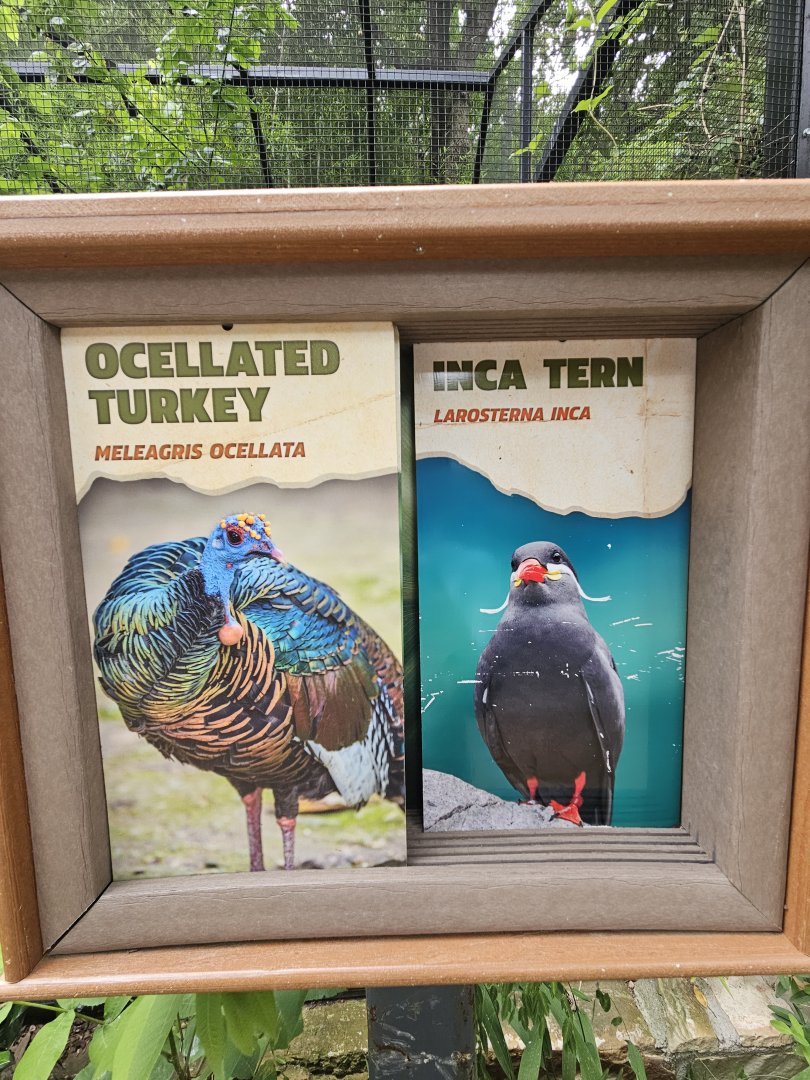 Another new bird sign