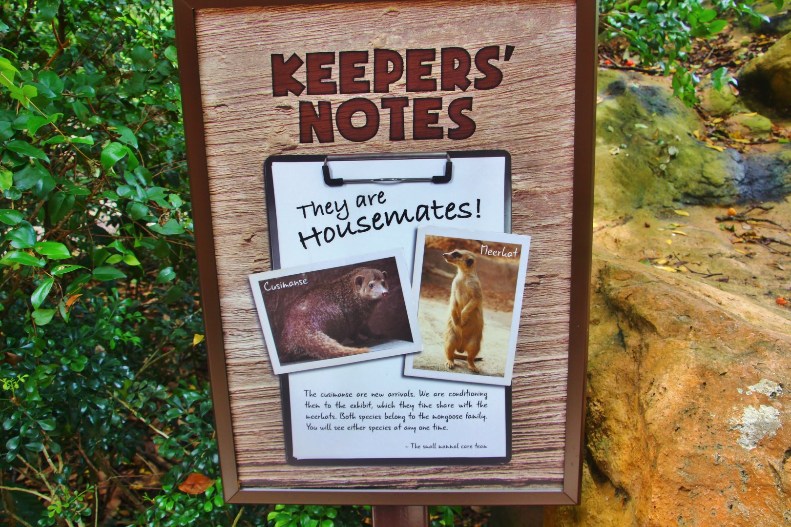 Another new species on display!