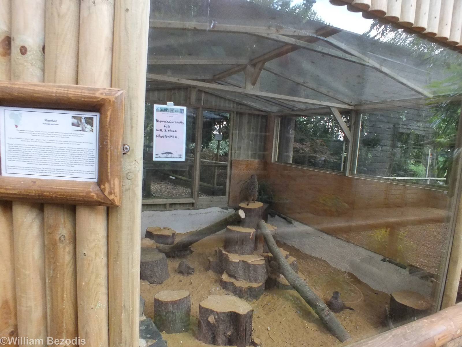 Another of two Meerkat Enclosures