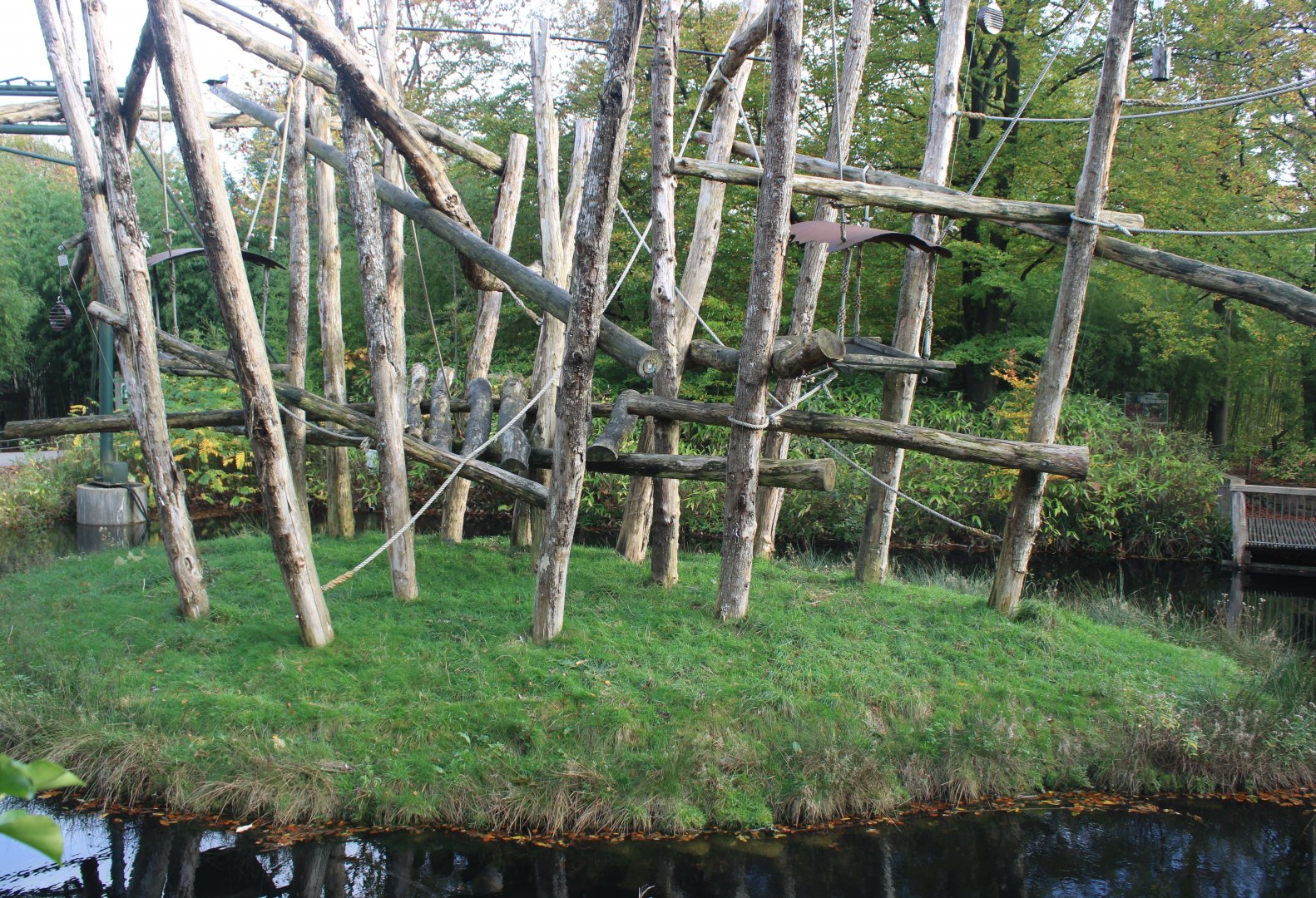 Another Orang utan island