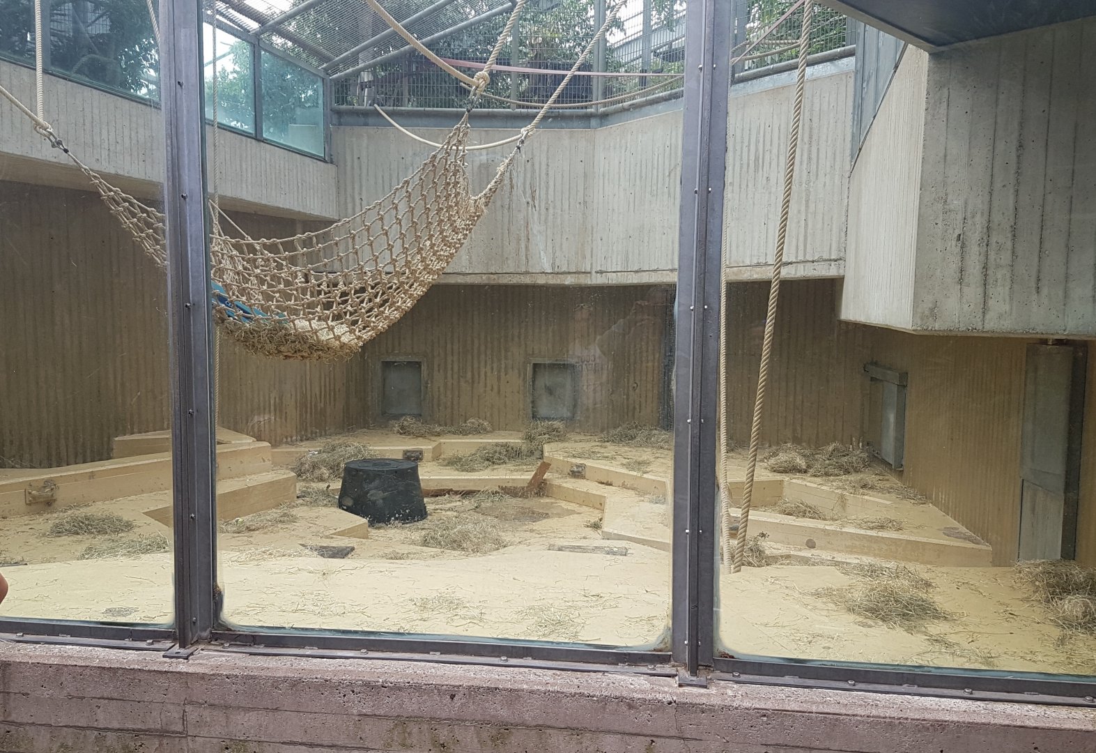 Another orangutan-indoor enclosure