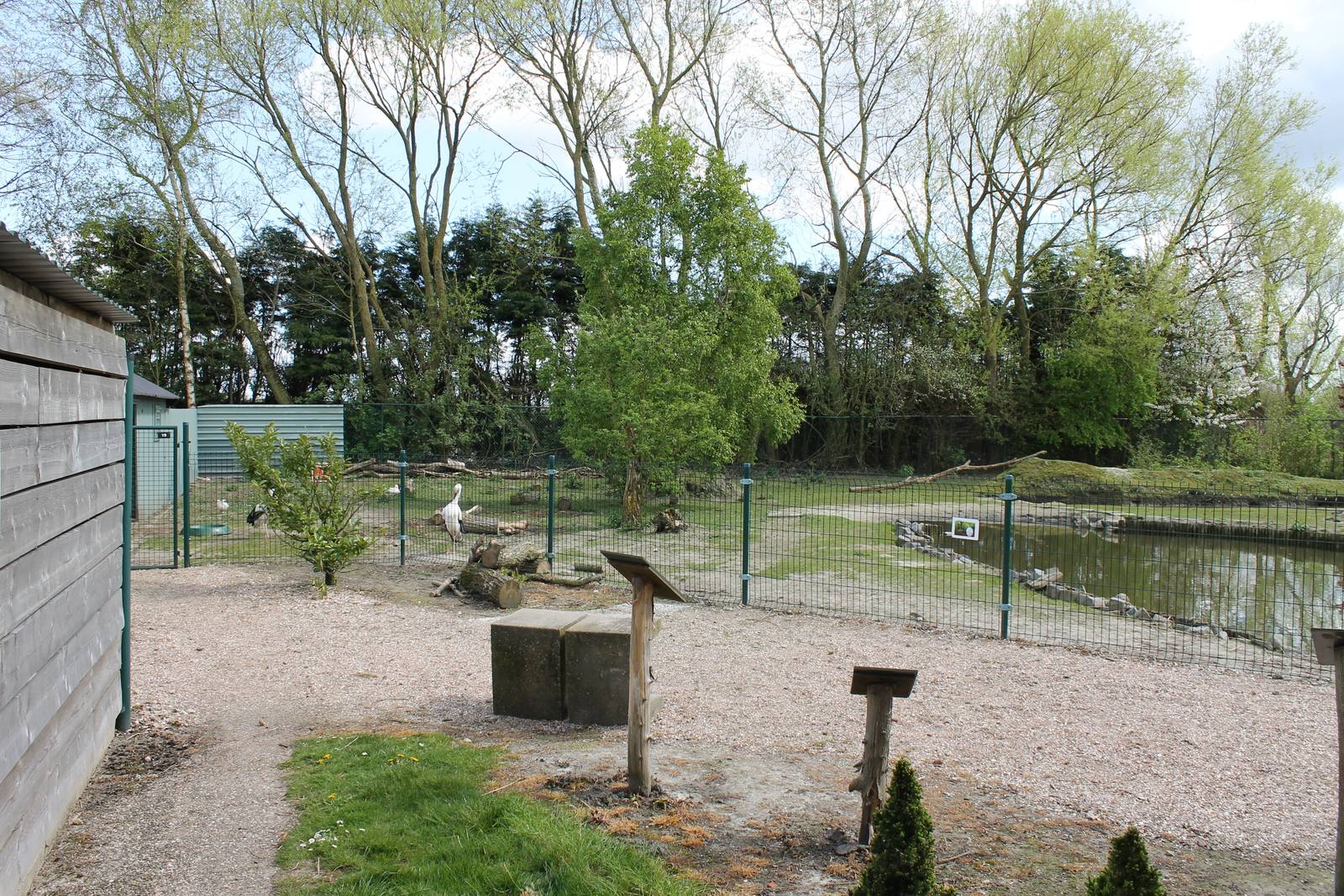 Another part of the Capybara enclosure