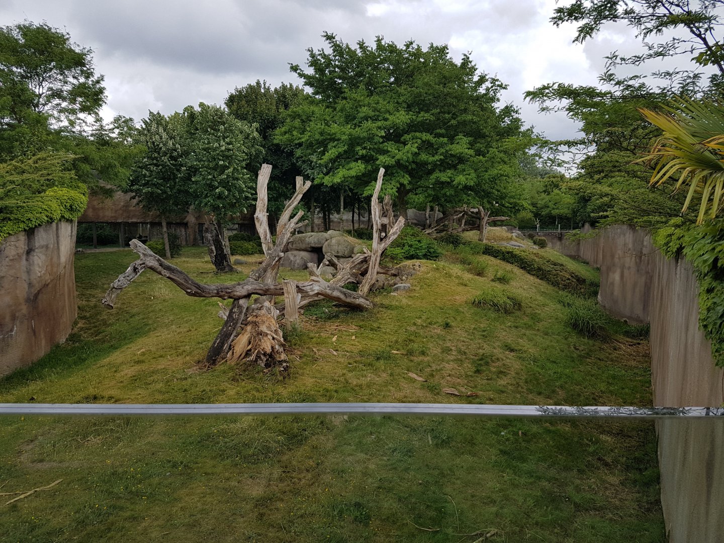 Another part of the Gorilla-outdoor-enclosure