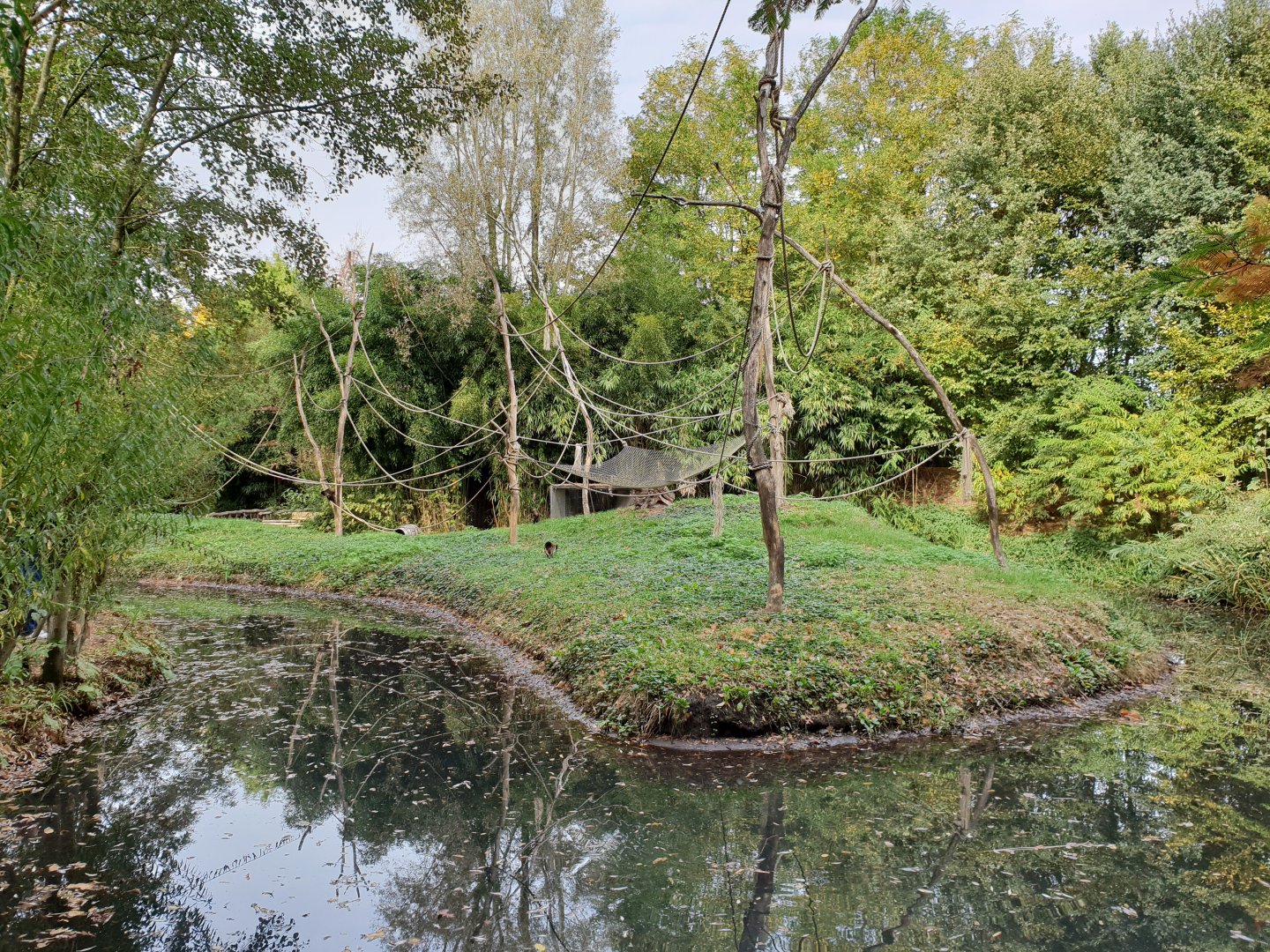 Another part of the Spider and Squirrel monkey island