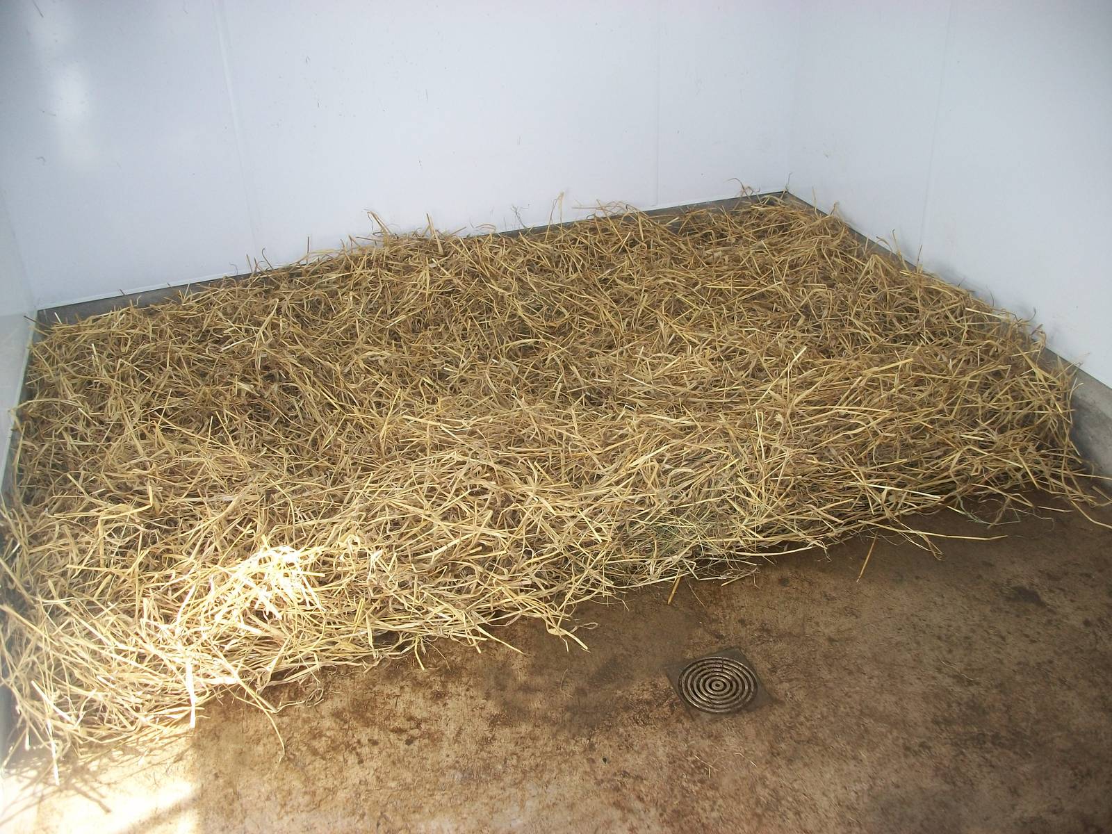 Another perfect bed, 19th April 2014