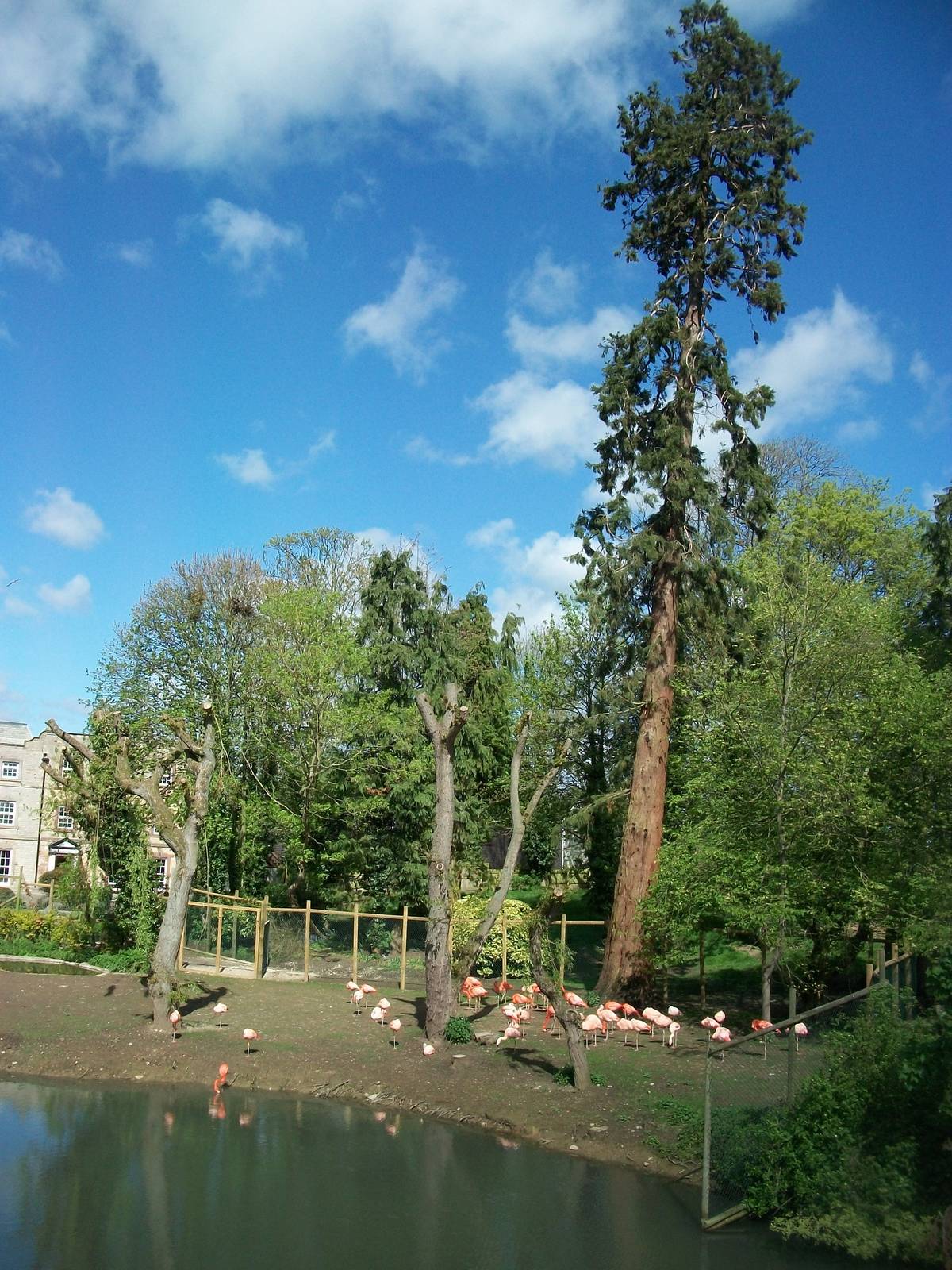 Another piece of history still stands, 6th May 2014