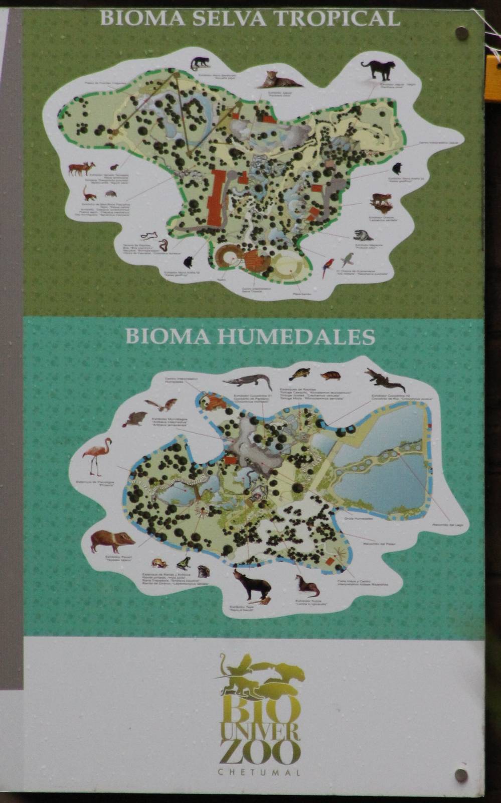 Another plan of the Zoo