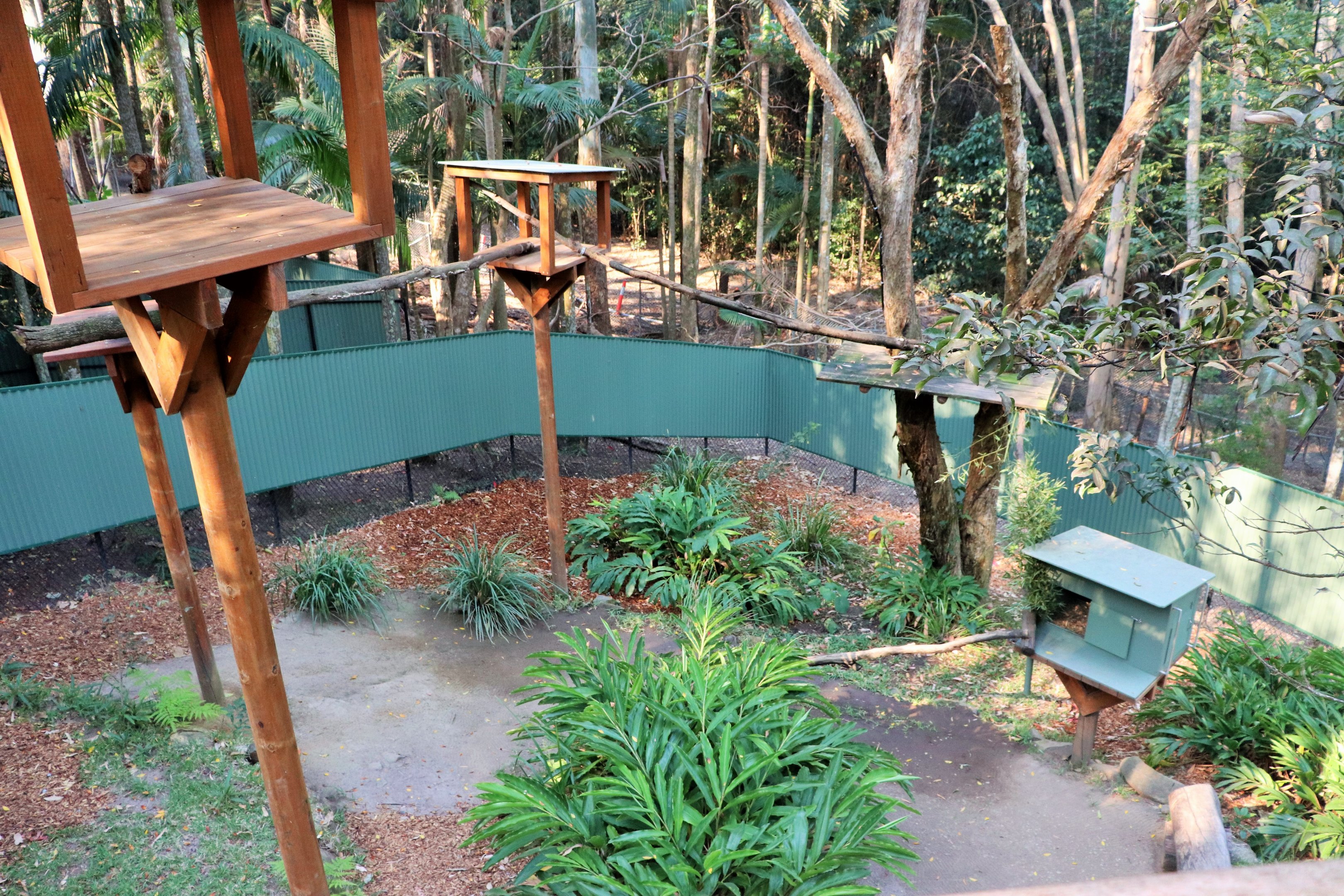 Another Red Panda Enclosure