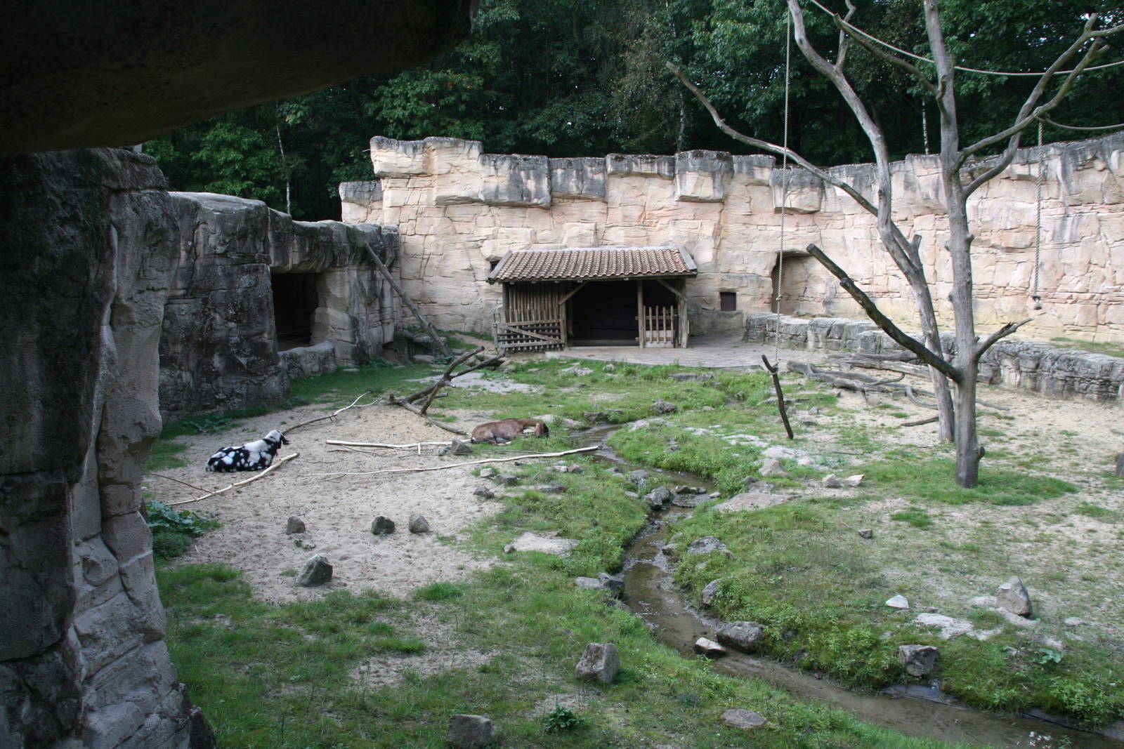 another section of the Barbary macaque exhibit