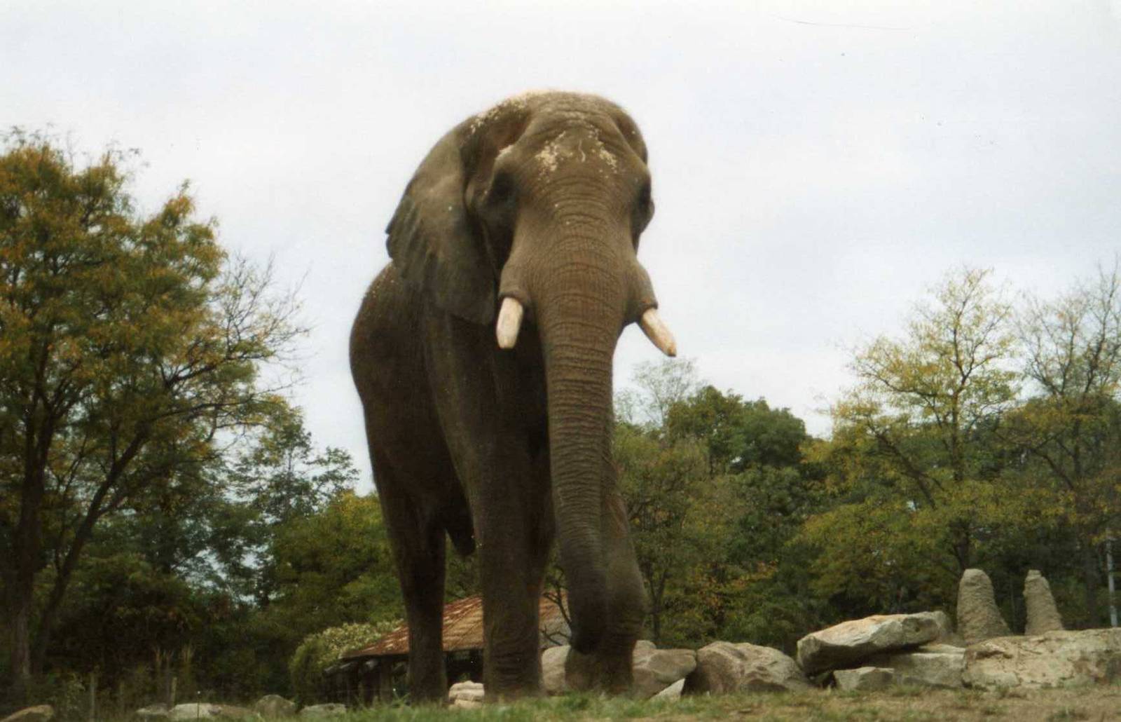 Another Shot of Jackson