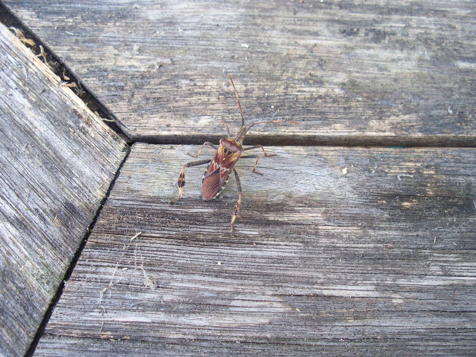 another shot, to may be help ID