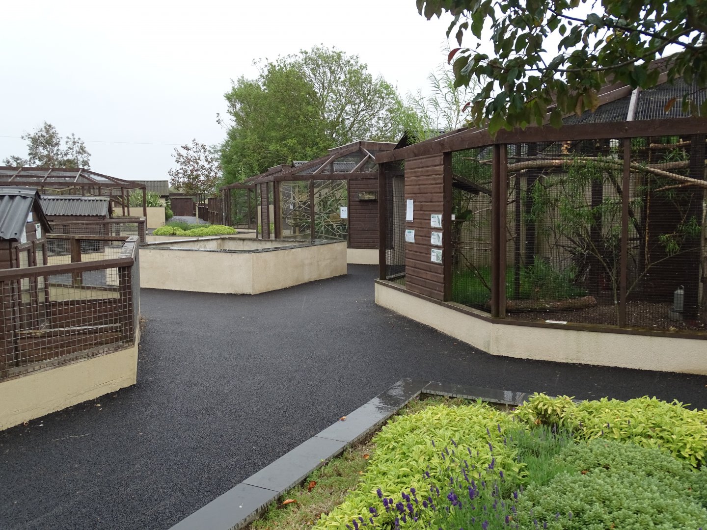 Another southwards view in the central area of the park, 1st July 2024