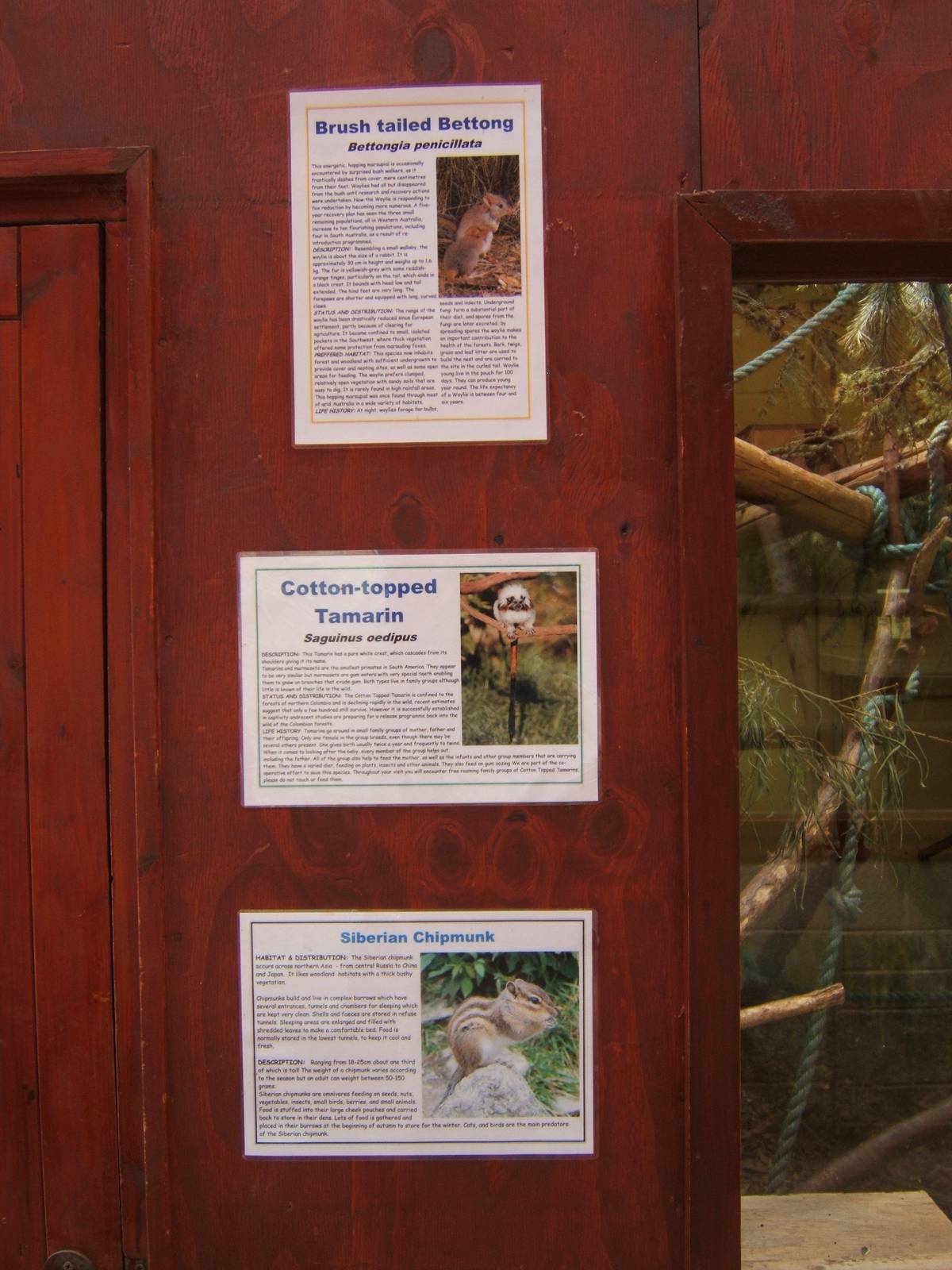 Another superb mixed species mix