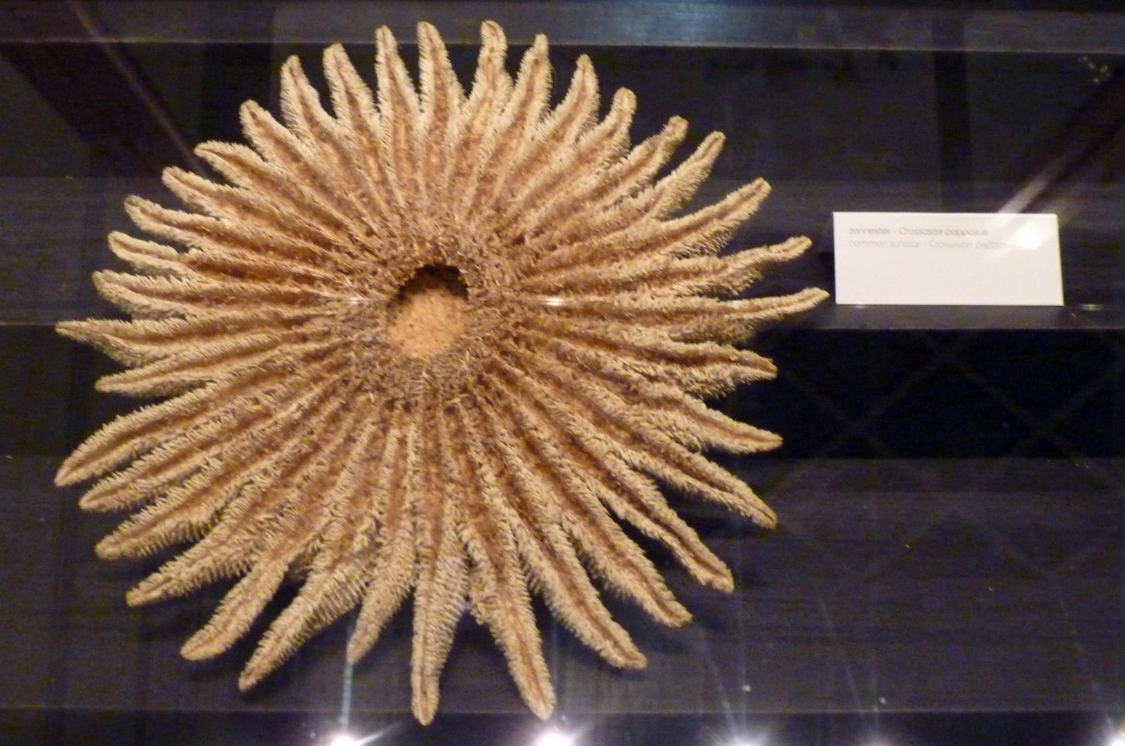 Another tagging error