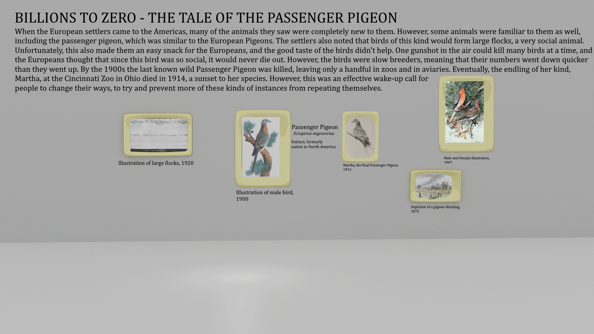 Another thing I created in Blender - Passenger Pigeon gallery