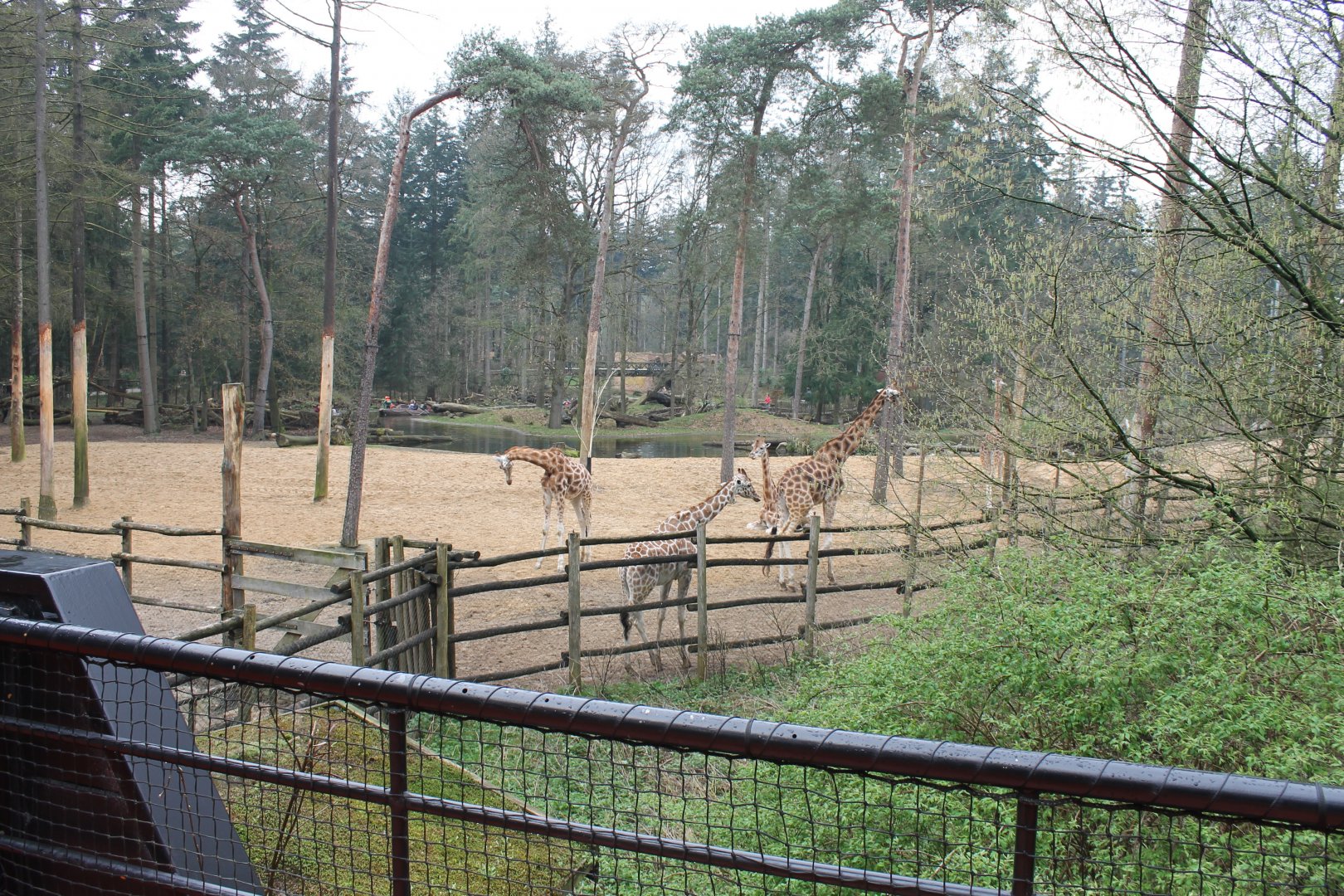 Another view at the African plain