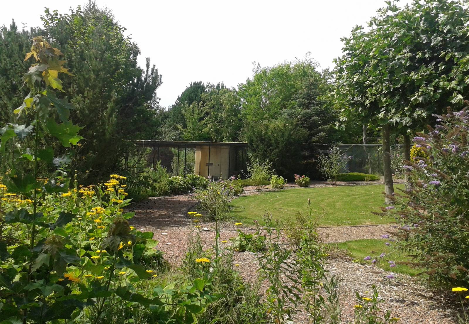 Another view in the park