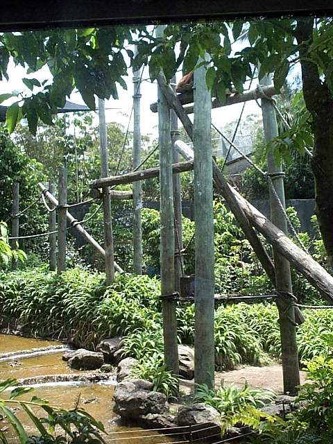 another view into the Orangs