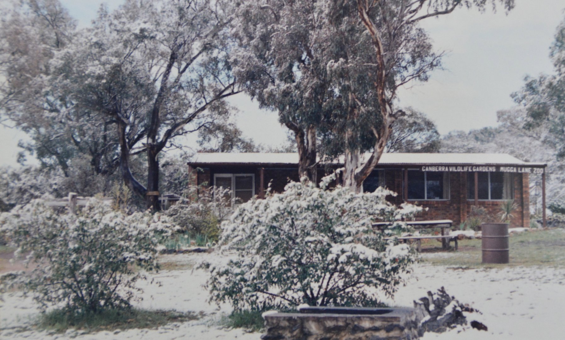 Another view of Entrance    Mugga Lane zoo