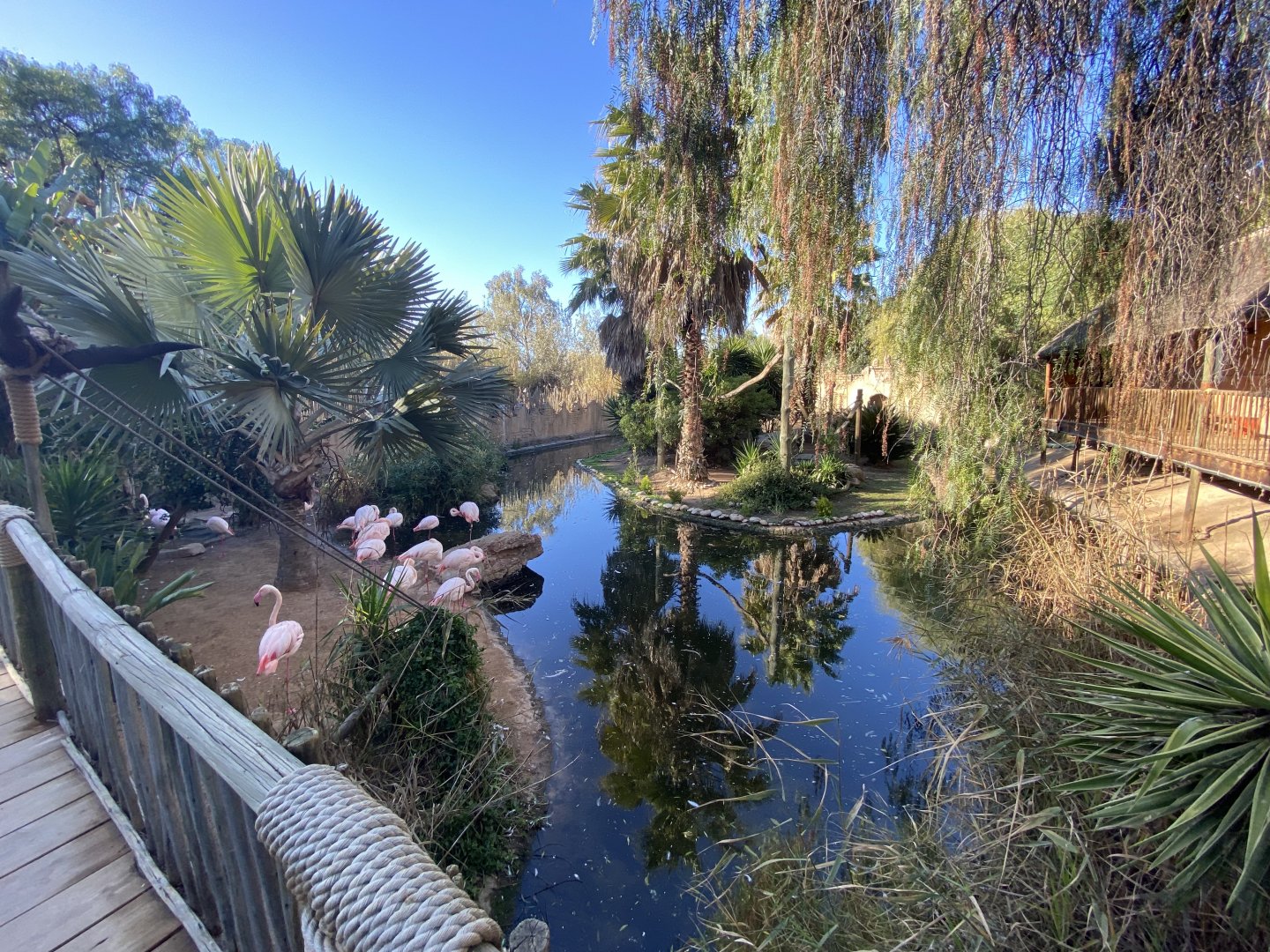 Another view of flamingo and lemur island