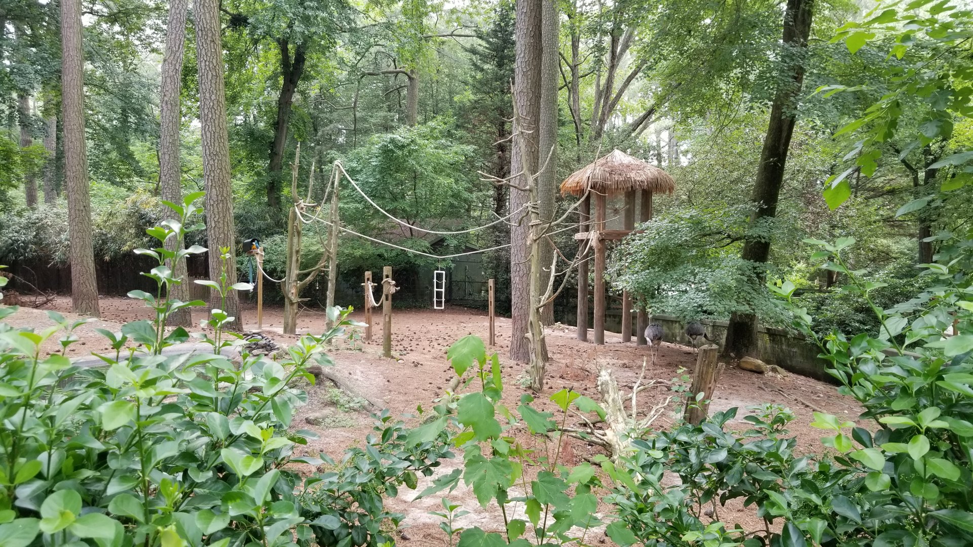 Another view of macaw area