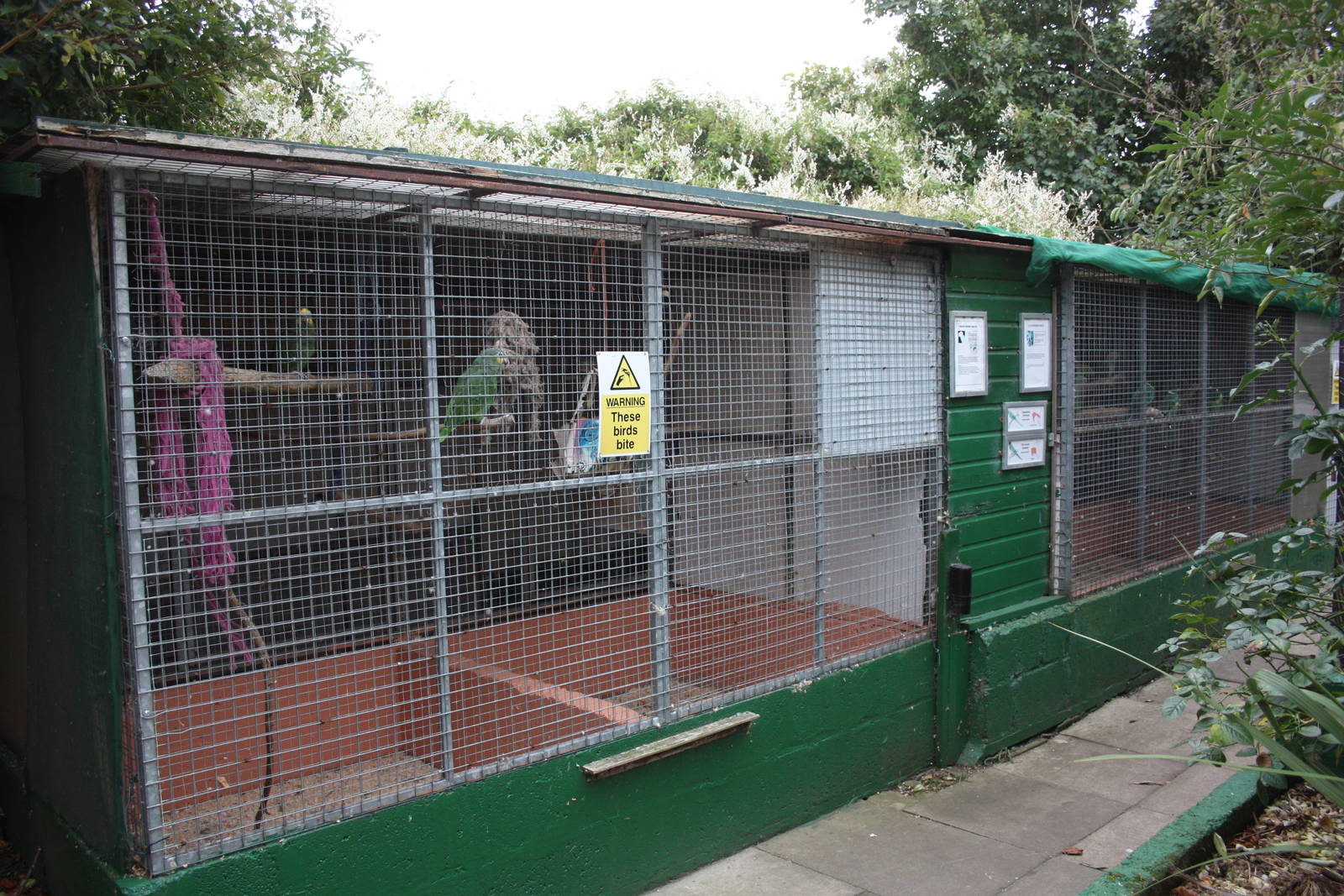Another view of outdoor aviaries due for replacement, 23rd September 2014