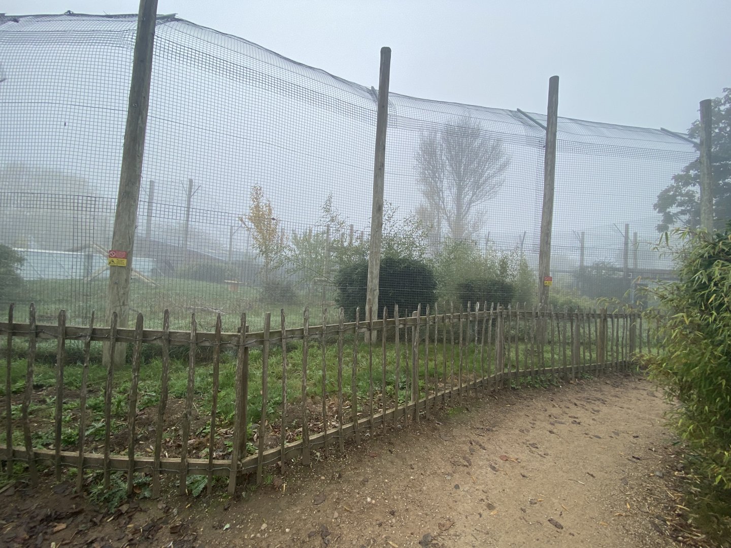 Another view of Sumatran tiger enclosure