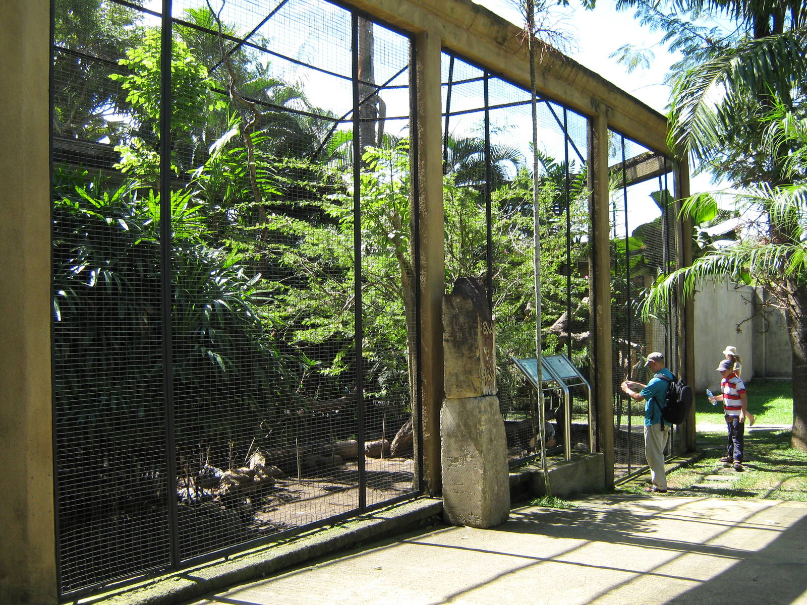 another view of the African Aviary