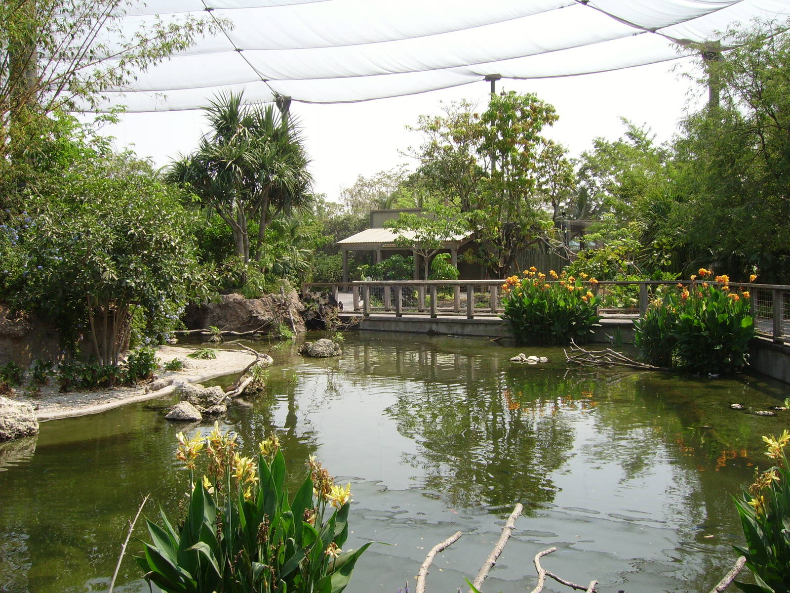 Another view of the Aviary - Miami Metrozoo