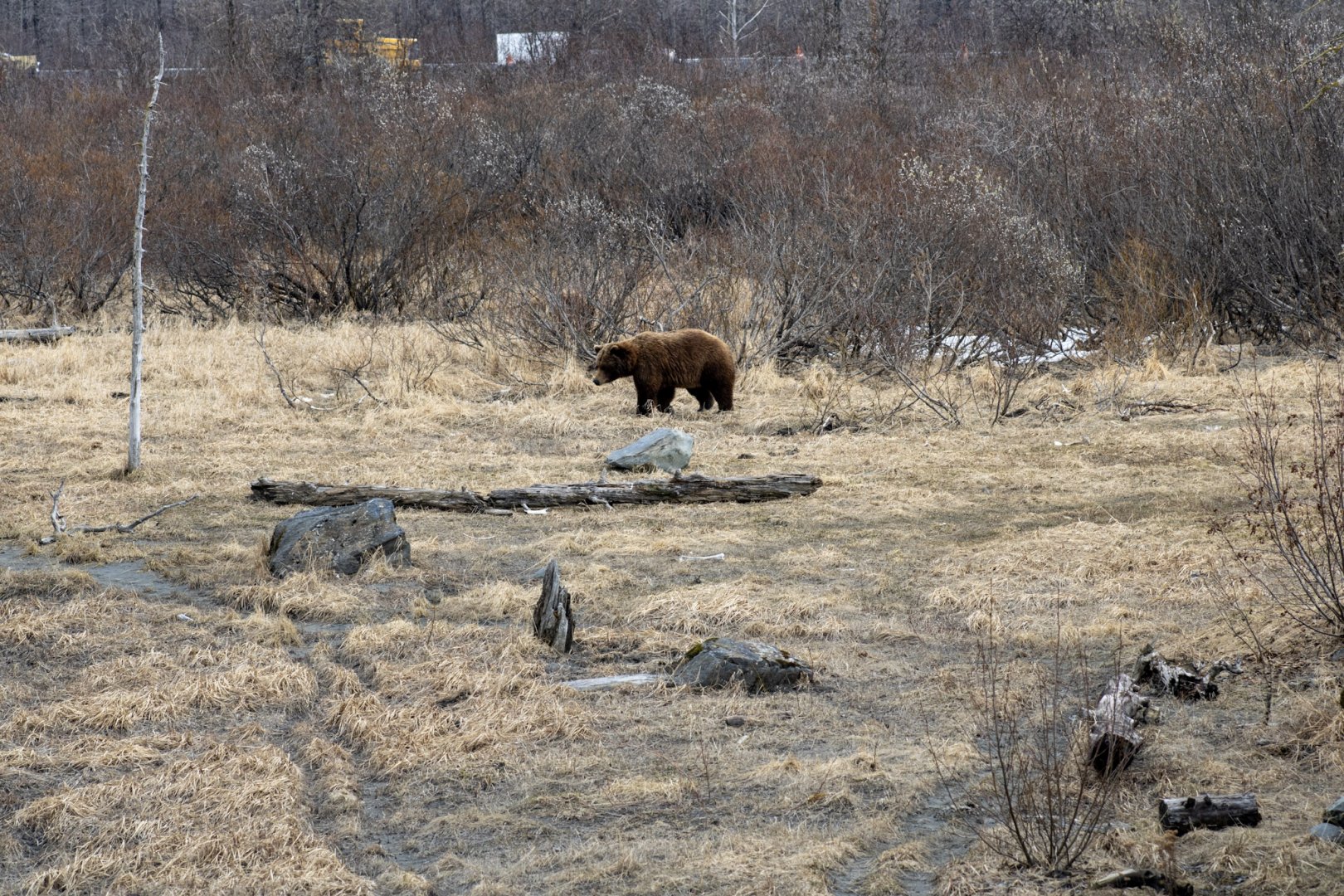 Another view of the exhibit