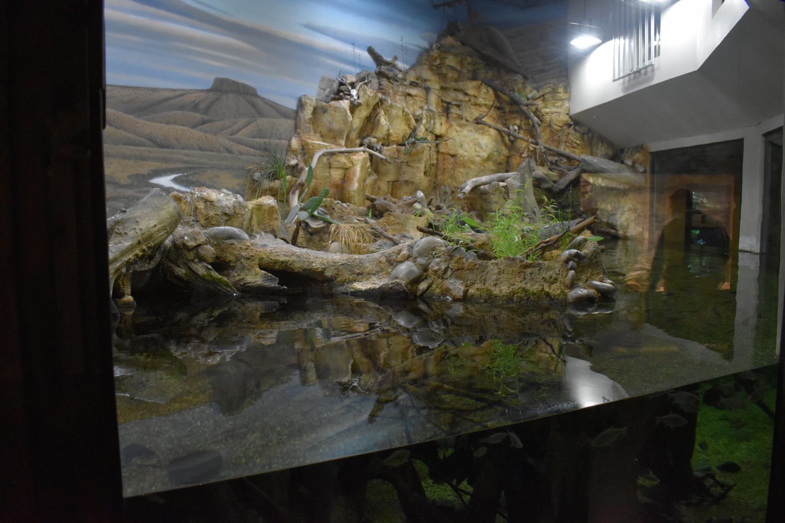 Another View of the Texas  Tank