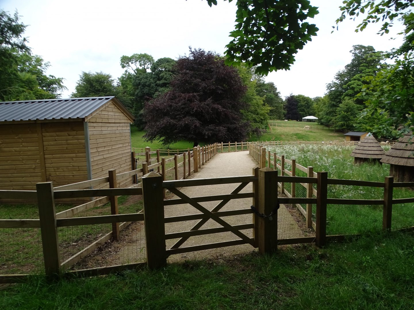 Another view of the zoo extension, 25th July 2024