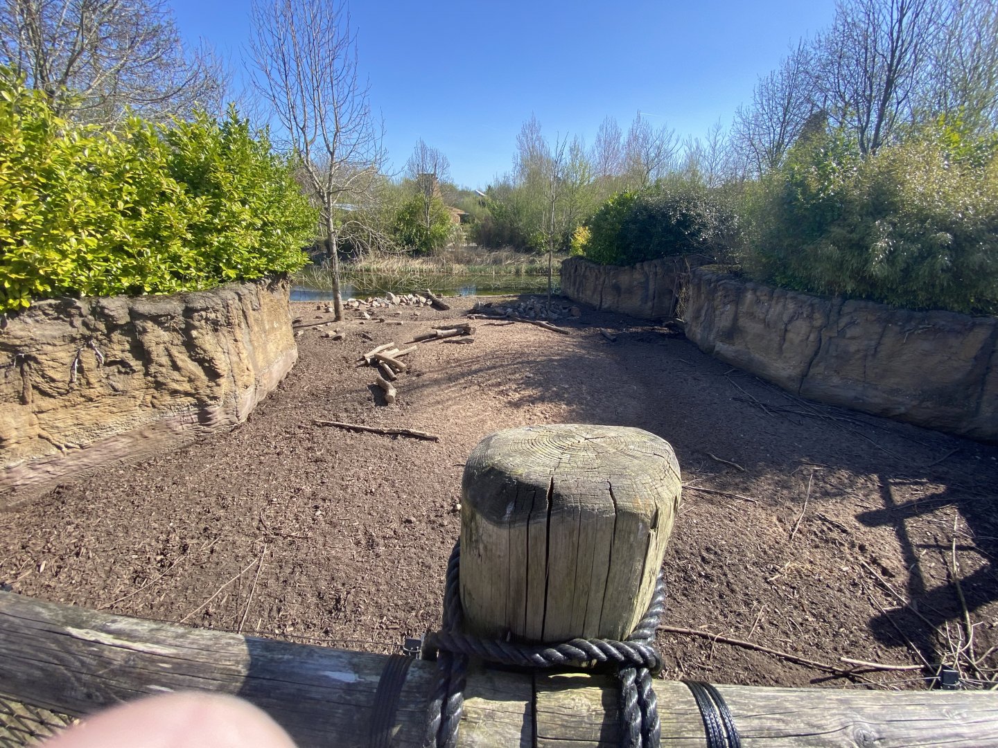 Another view of warty pig enclosure
